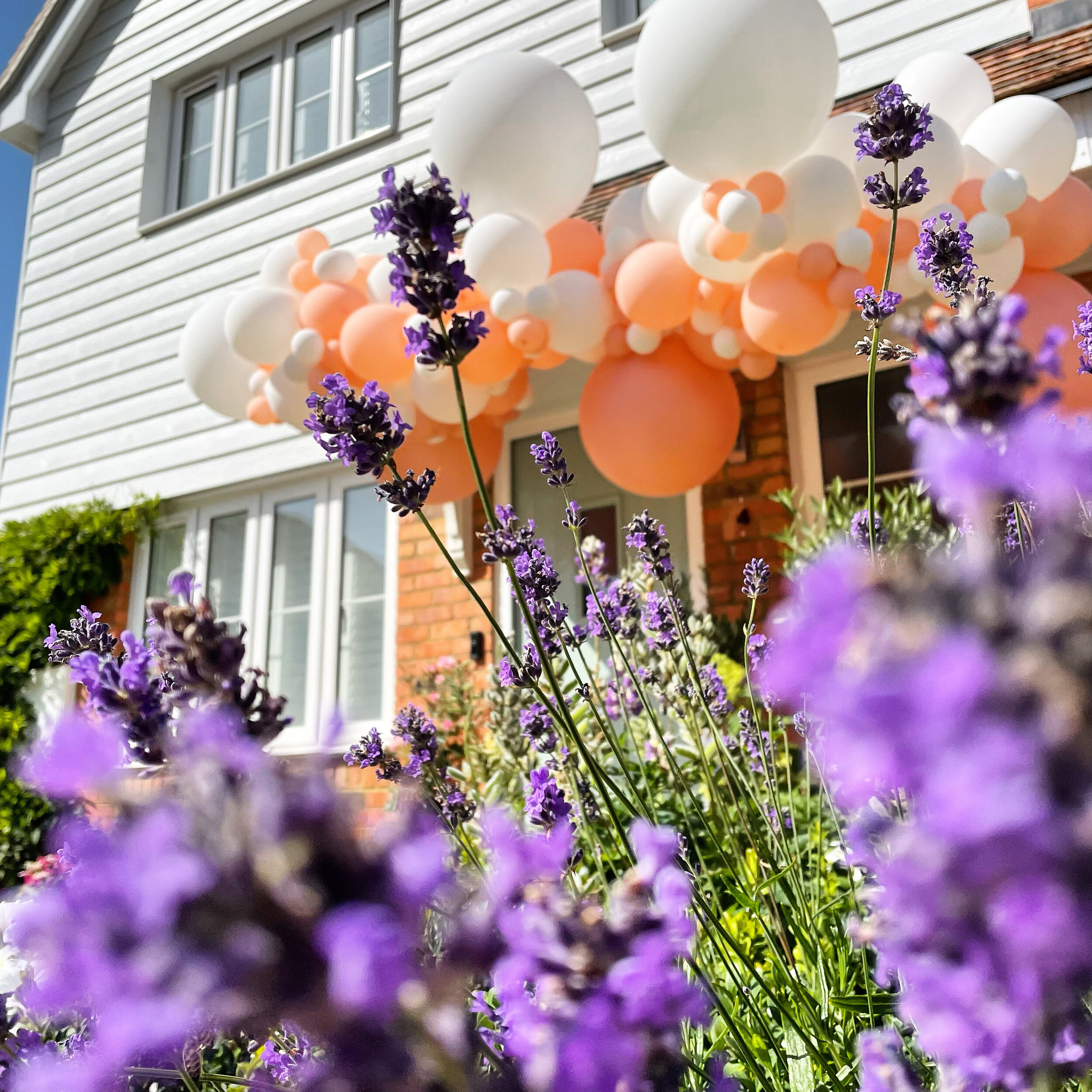 London Balloons Helium Balloon Delivery & Balloon Installations