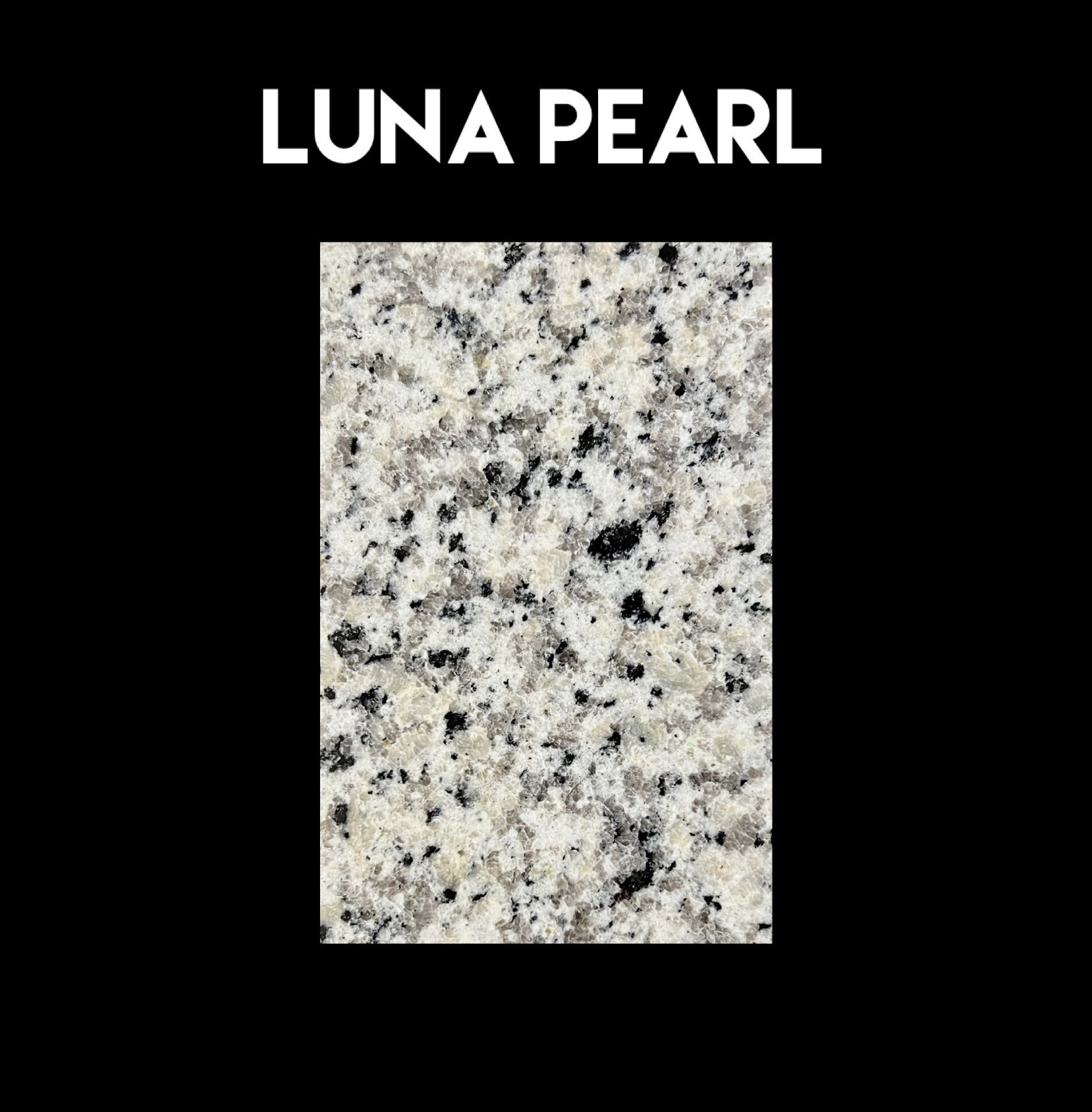 Luna Pearl.jpg