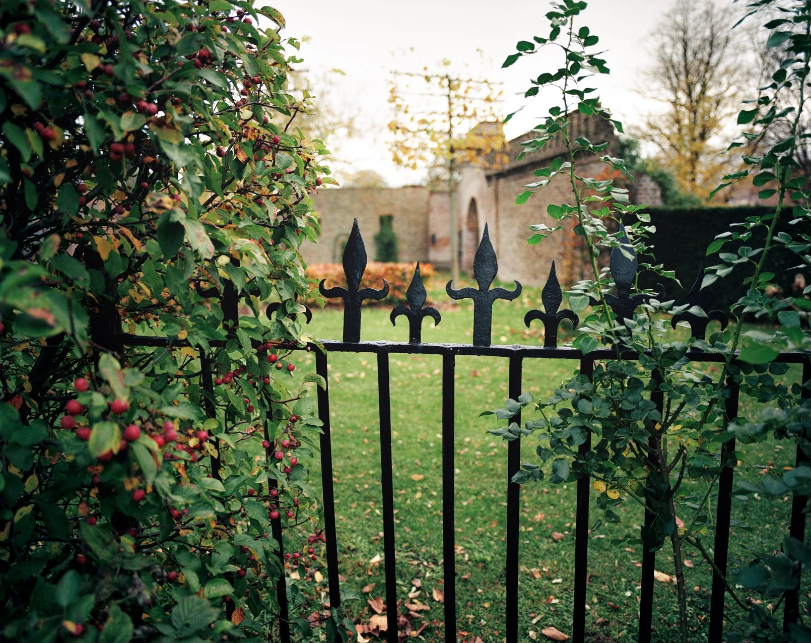231110-1-09-Schlossgarten-Kölln.jpg