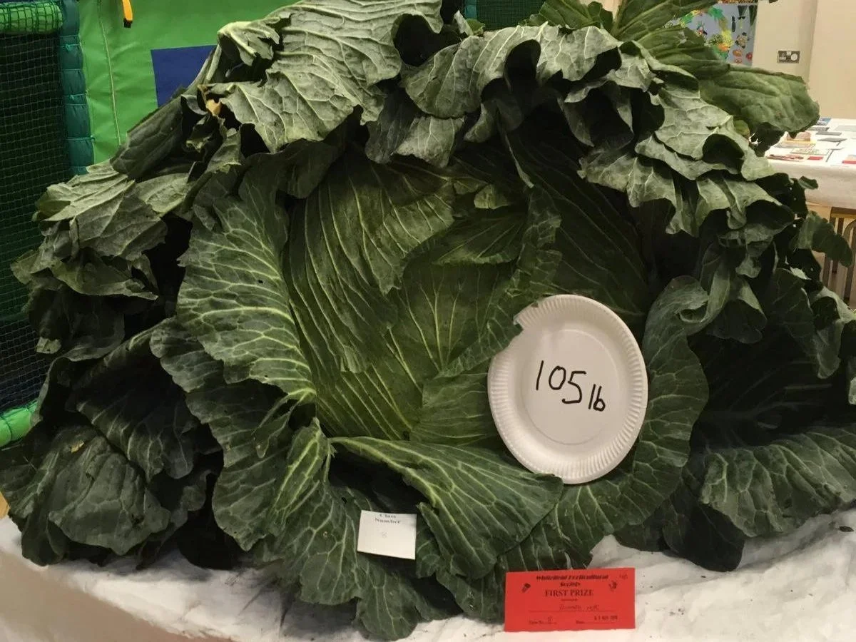 WHS+4.jpg
