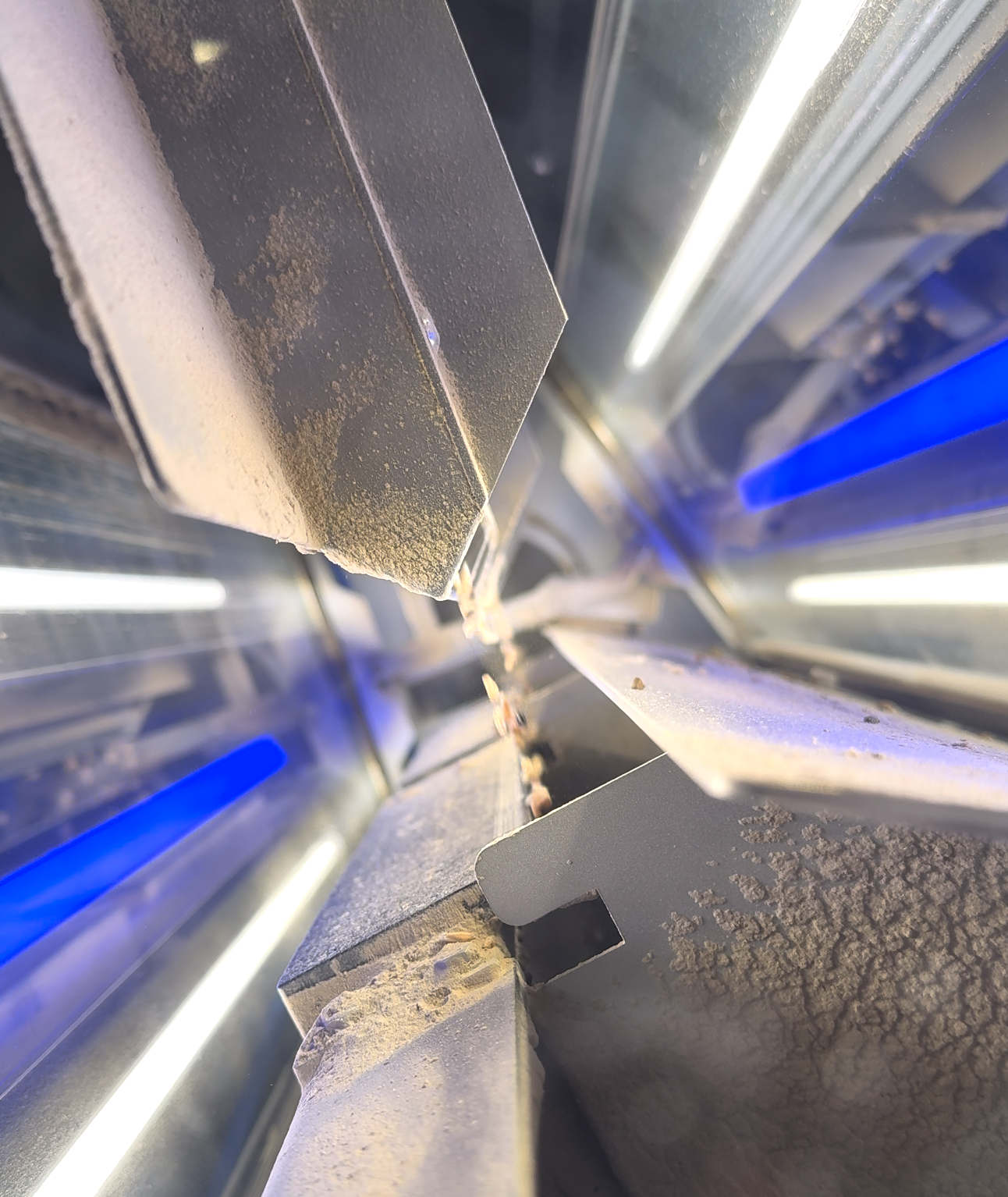 截屏2025-12-29 12.53.56.png