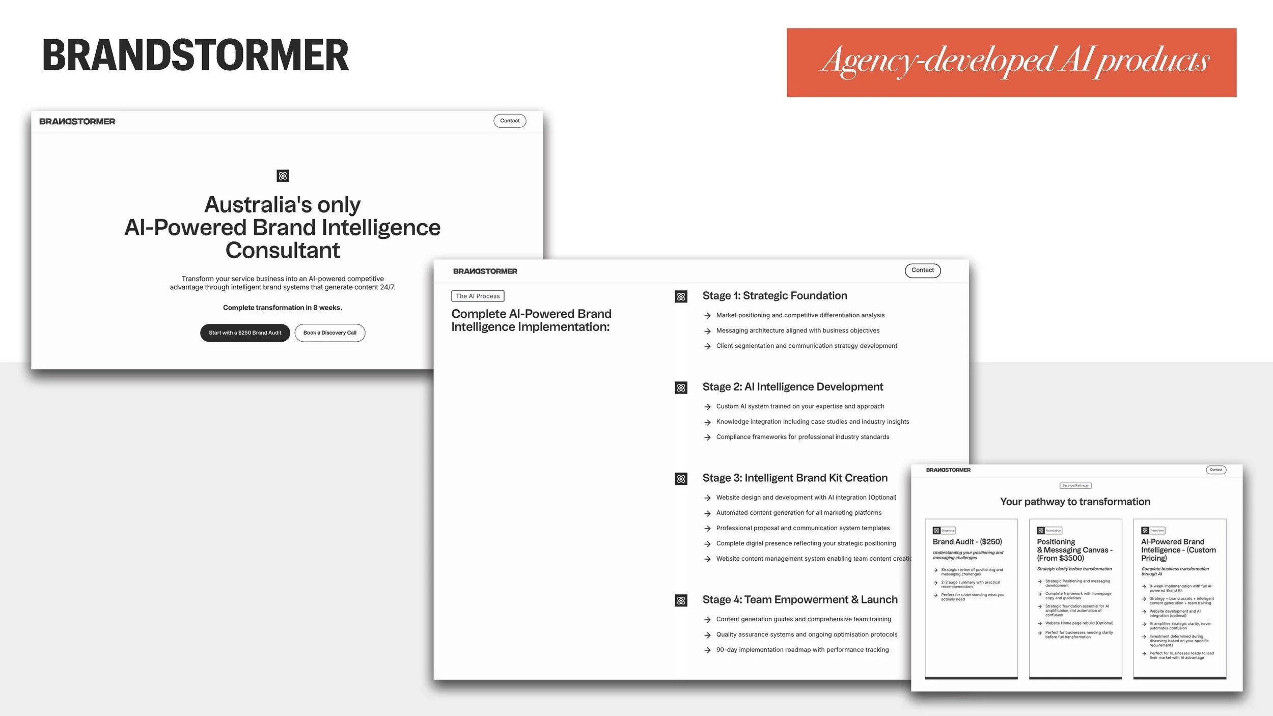 How to Price AI SLIDES (ACA)_Page_079.jpg