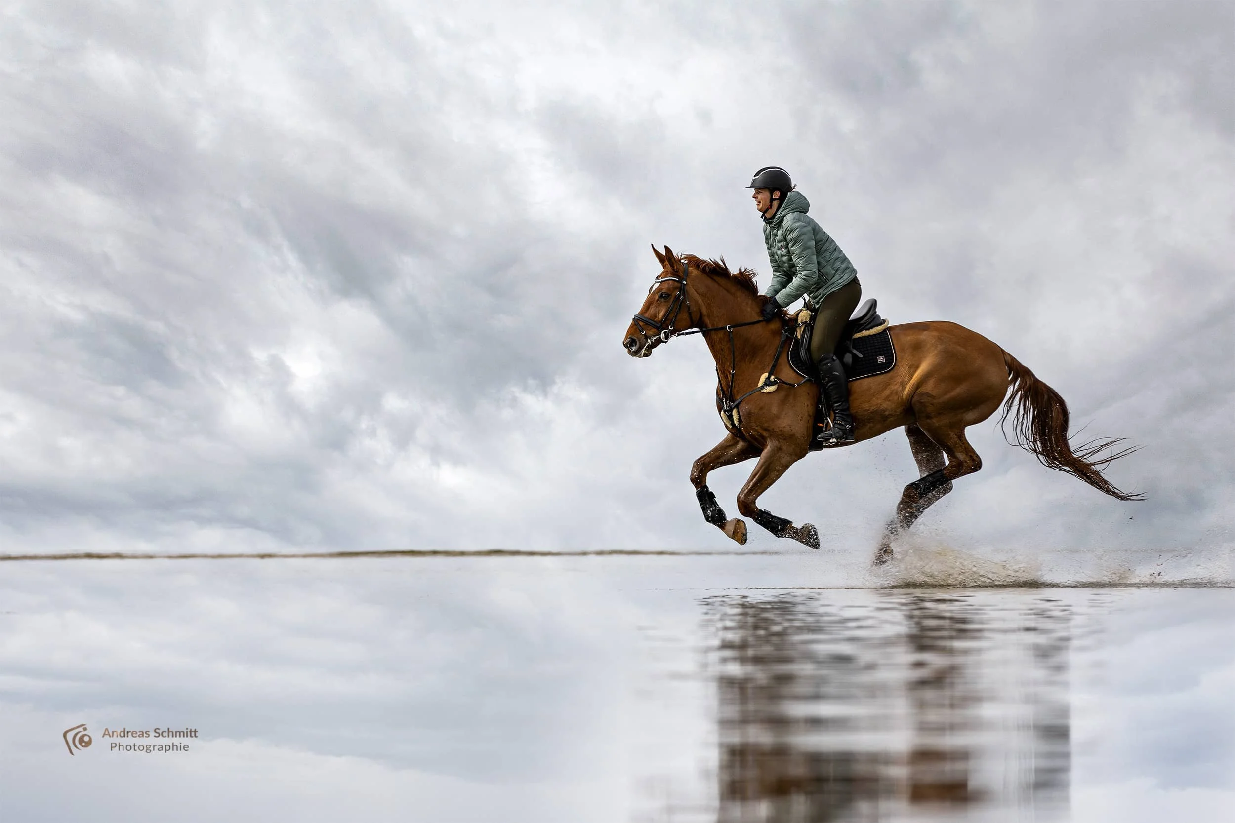 Pferdeshooting am der Nordsee - Pferd in dynamischem Galopp.jpg