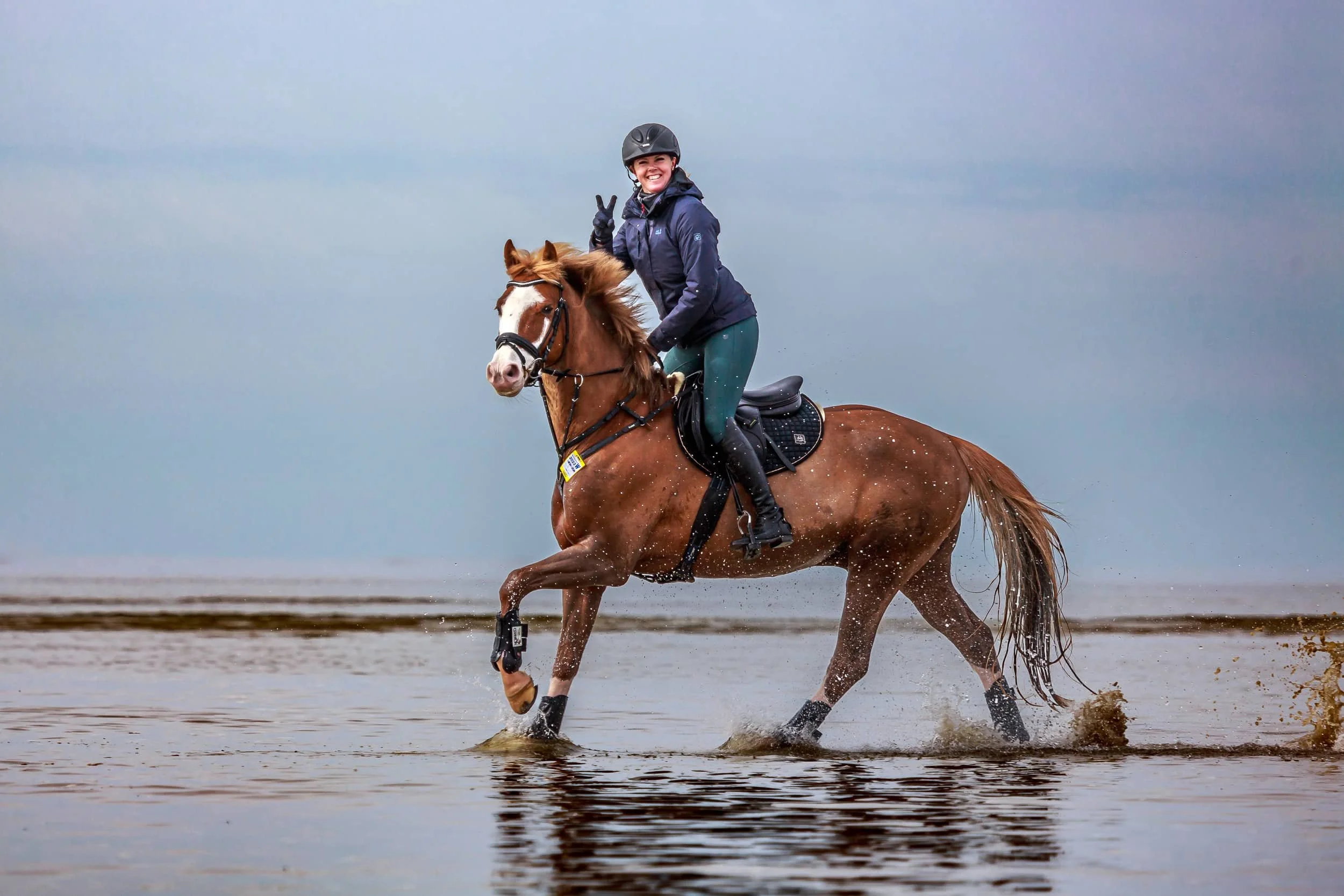 Pferd galoppiert durch das Wasser in St.Peter Ording.jpg