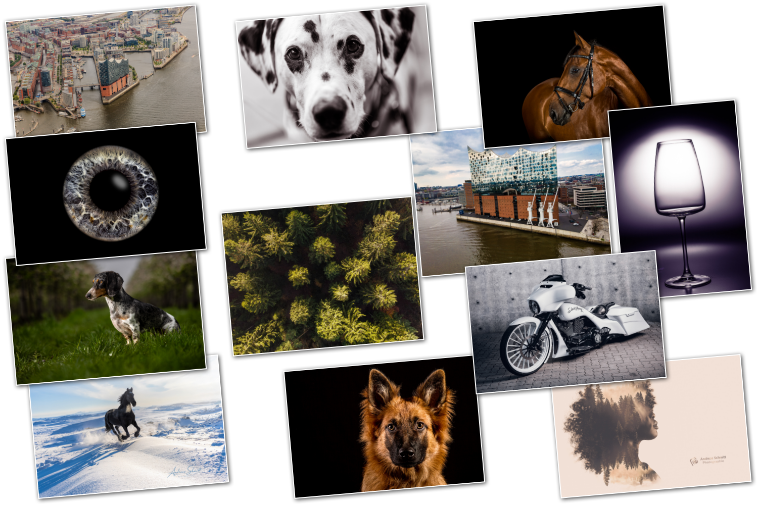 Verschlungene Irisringe vor einem sternenklaren Himmel.