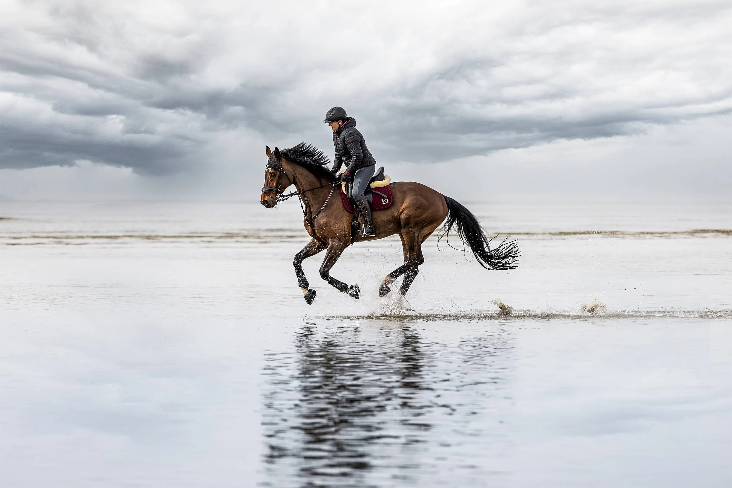 Pferdeshooting in St-Peter-Ording - Pferd im Galopp.jpg
