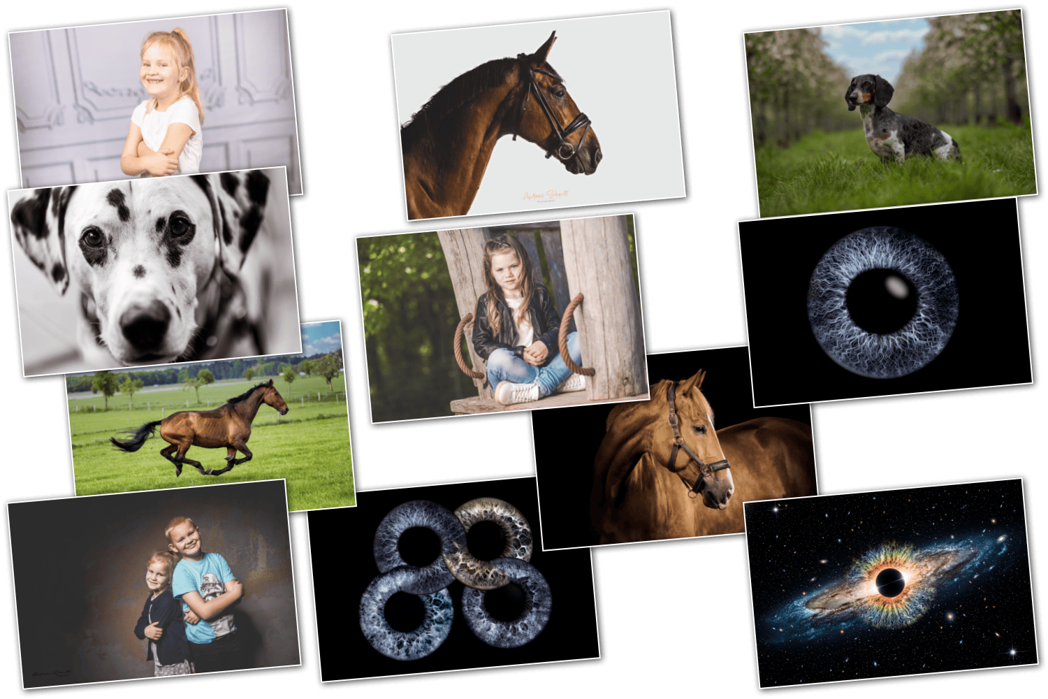 Collage aus Fotos von Kindern, Tieren (Hunde, Pferd, Dalmatiner) und kosmischen Objekten (Augen, Galaxie, schwarzes Loch).