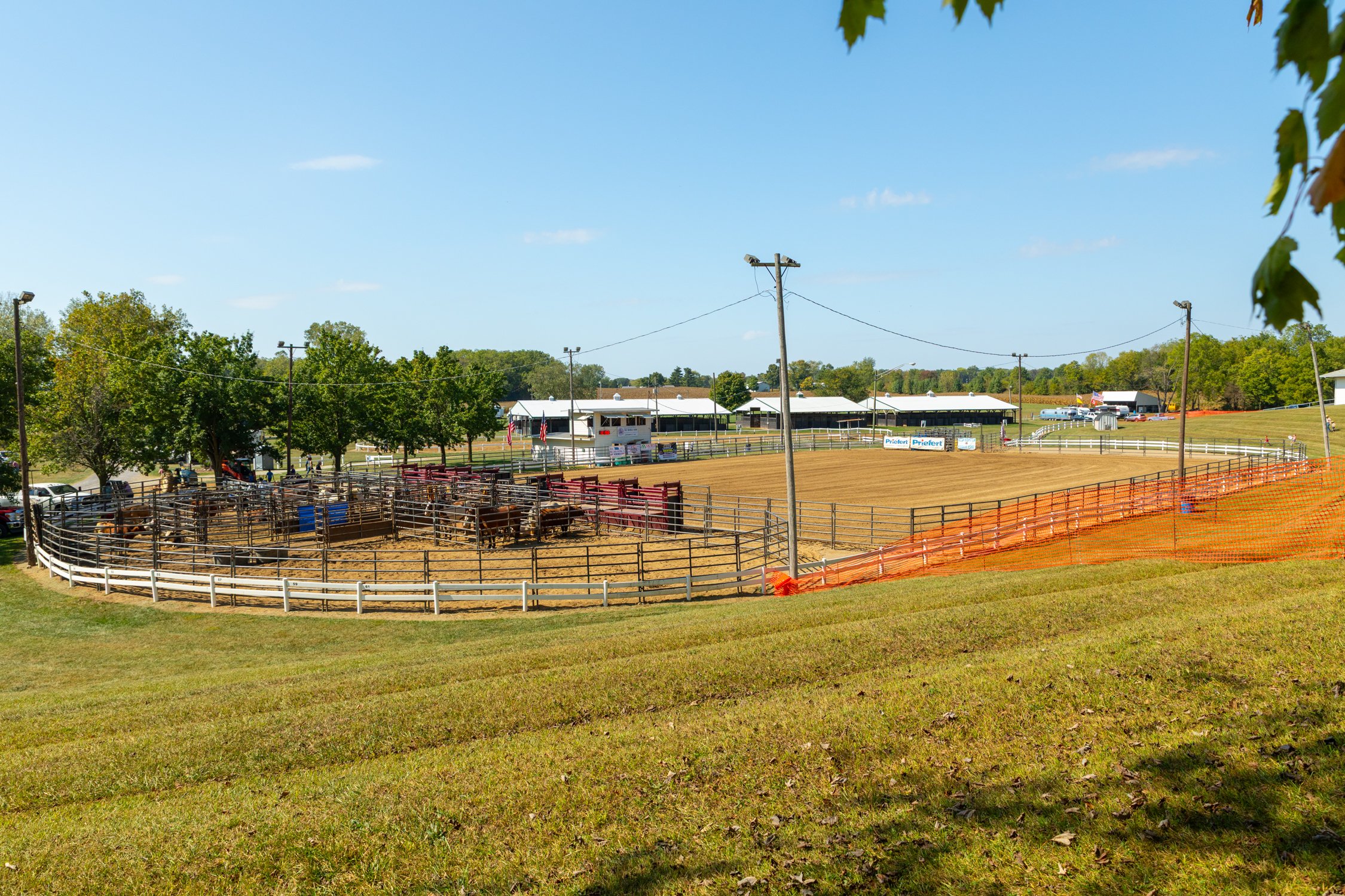 Rodeo_092025-212-2.jpg