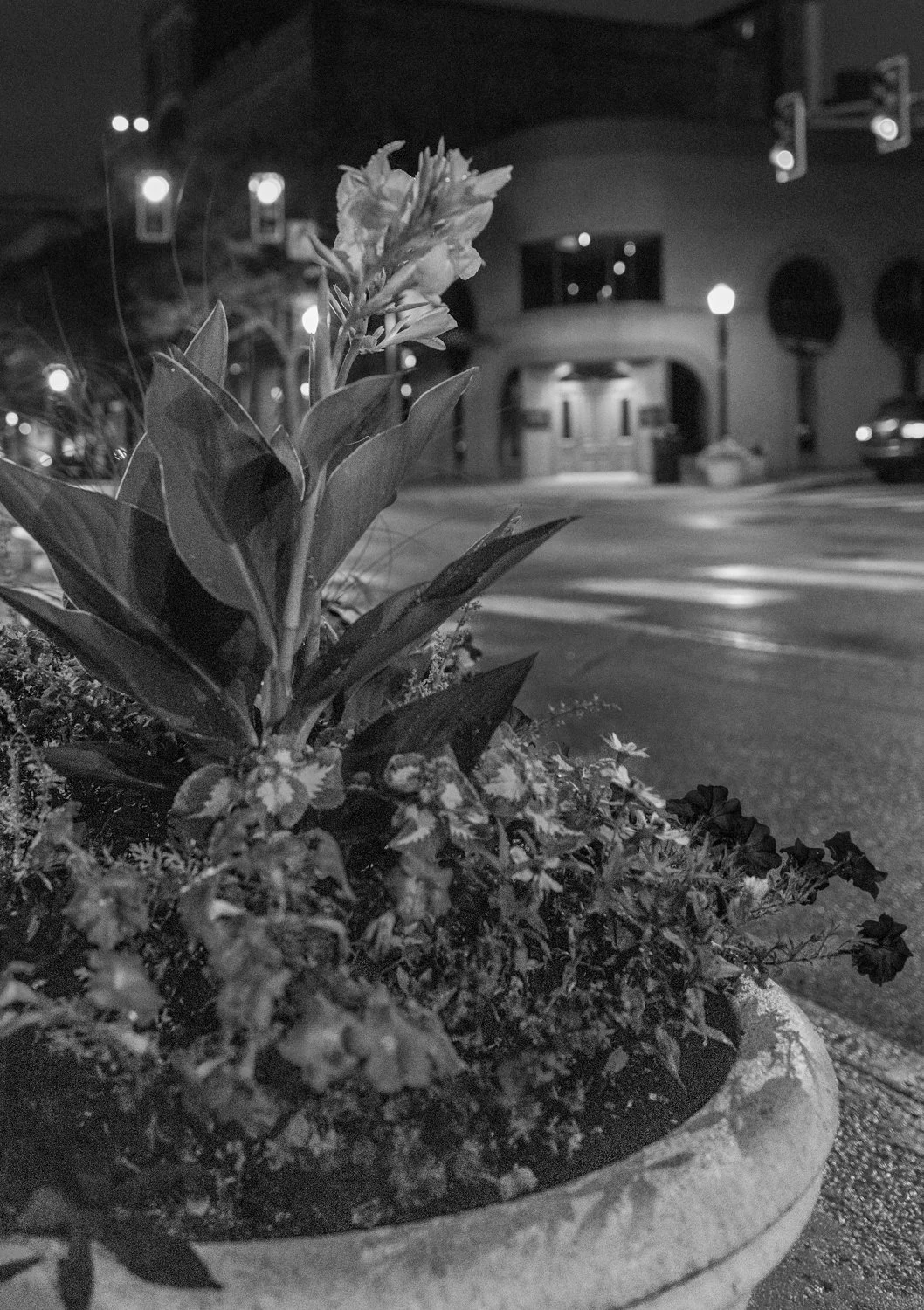 DTFW_NightShoot_25.7.19-132.jpg