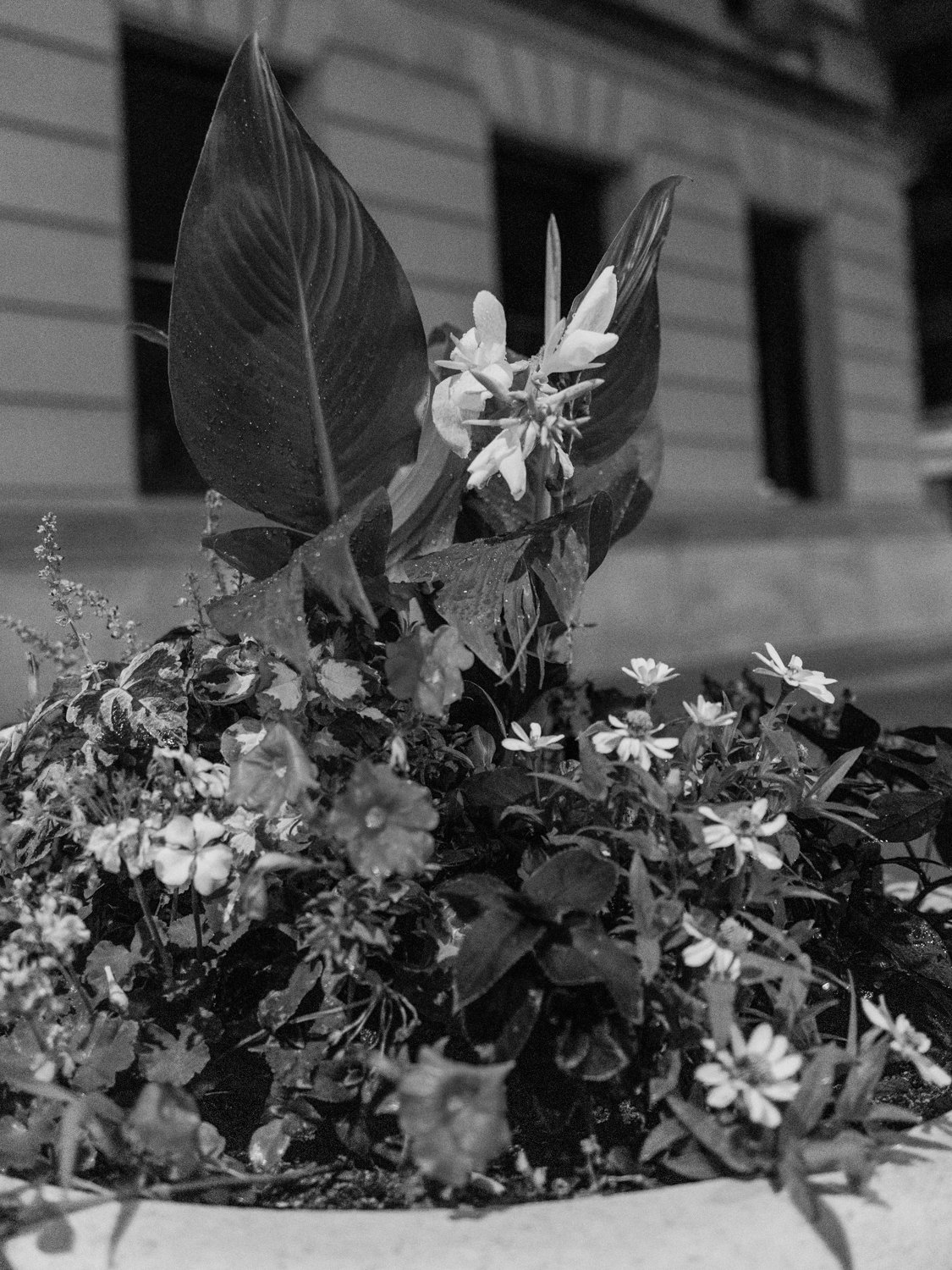 DTFW_NightShoot_25.7.19-134.jpg