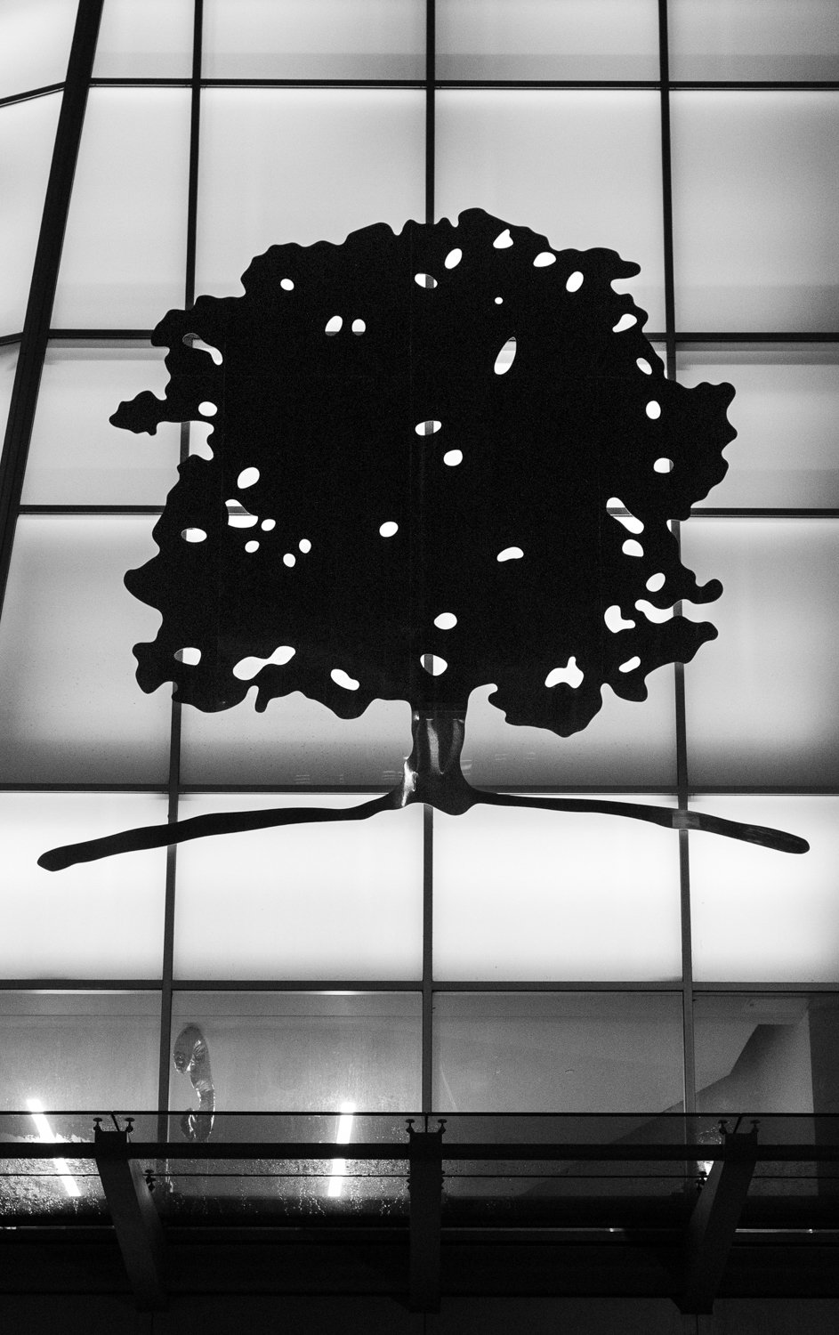 DTFW_NightShoot_25.7.19-151.jpg