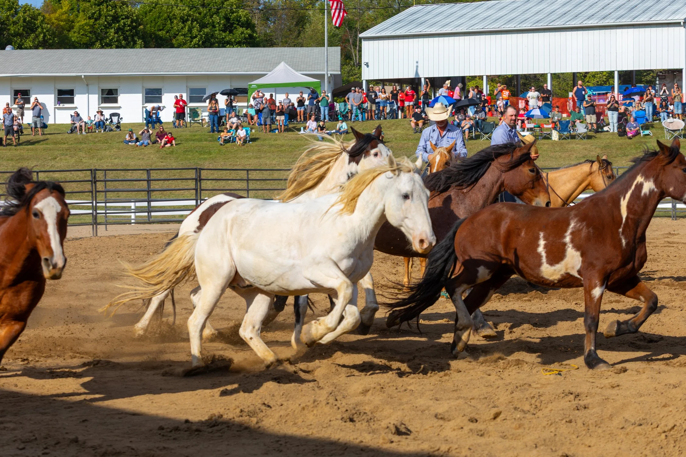 Rodeo_092025-1116.jpg