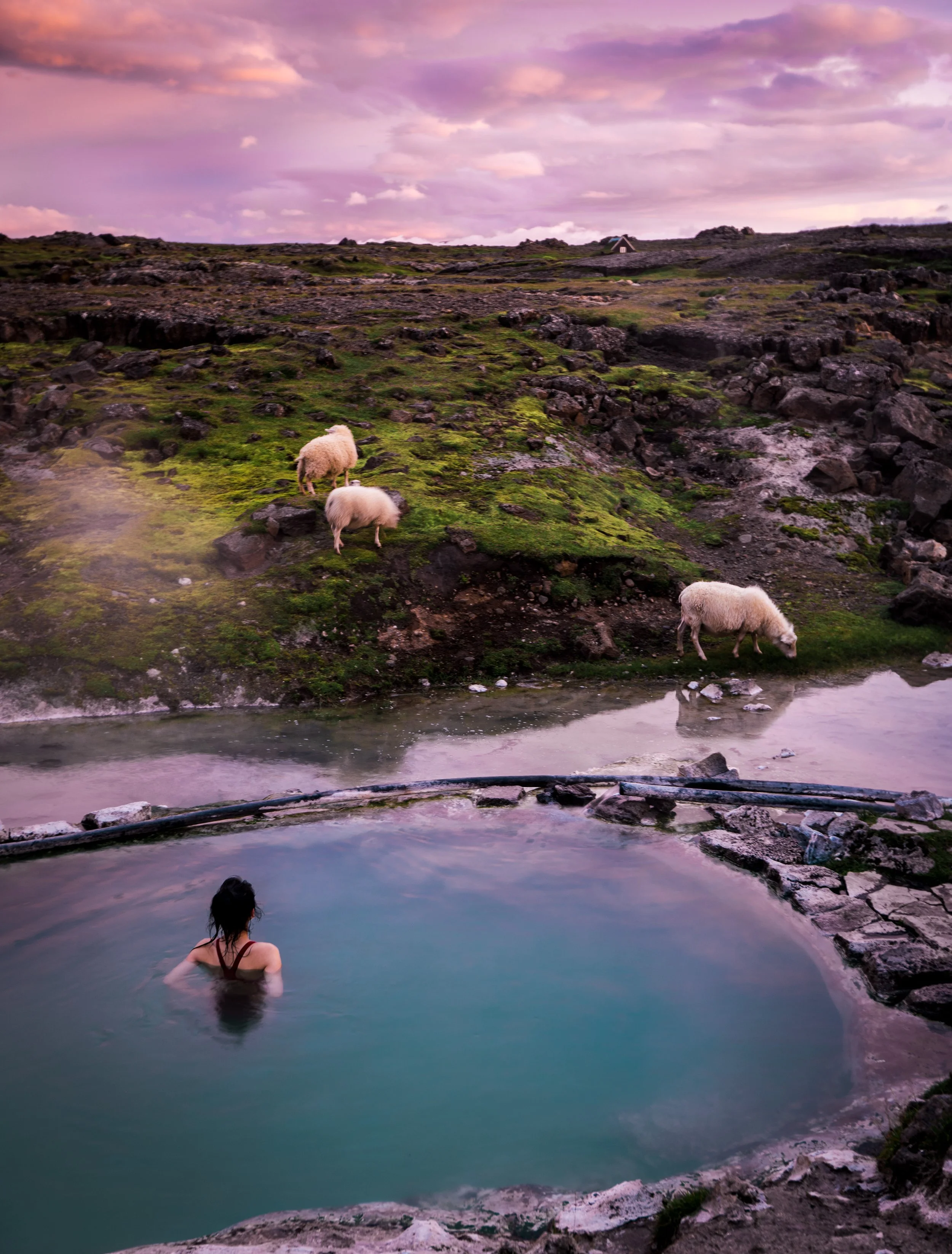 A person standing on top of a white off-road vehicle in Iceland's highlands, a desolate landscape under a cloudy sky.