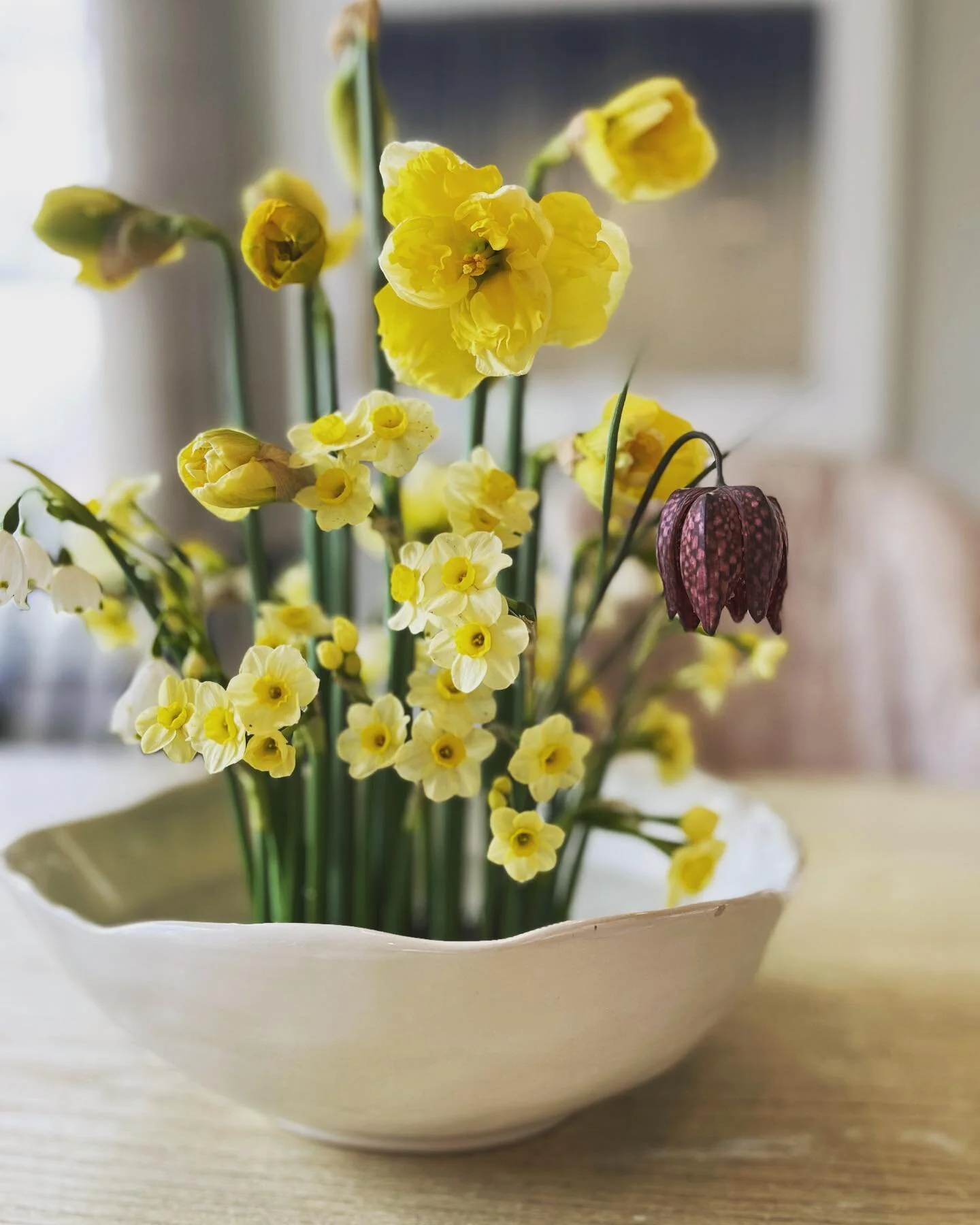 The first clippings from the garden. First year growing daffodils. First sunsets sitting with my 3 buddies amongst the flowers.
#njflowerfarmer #jerseyshoreweddingflorist #monmouthcountyflowers #shoplocalnj #ladyfarmer