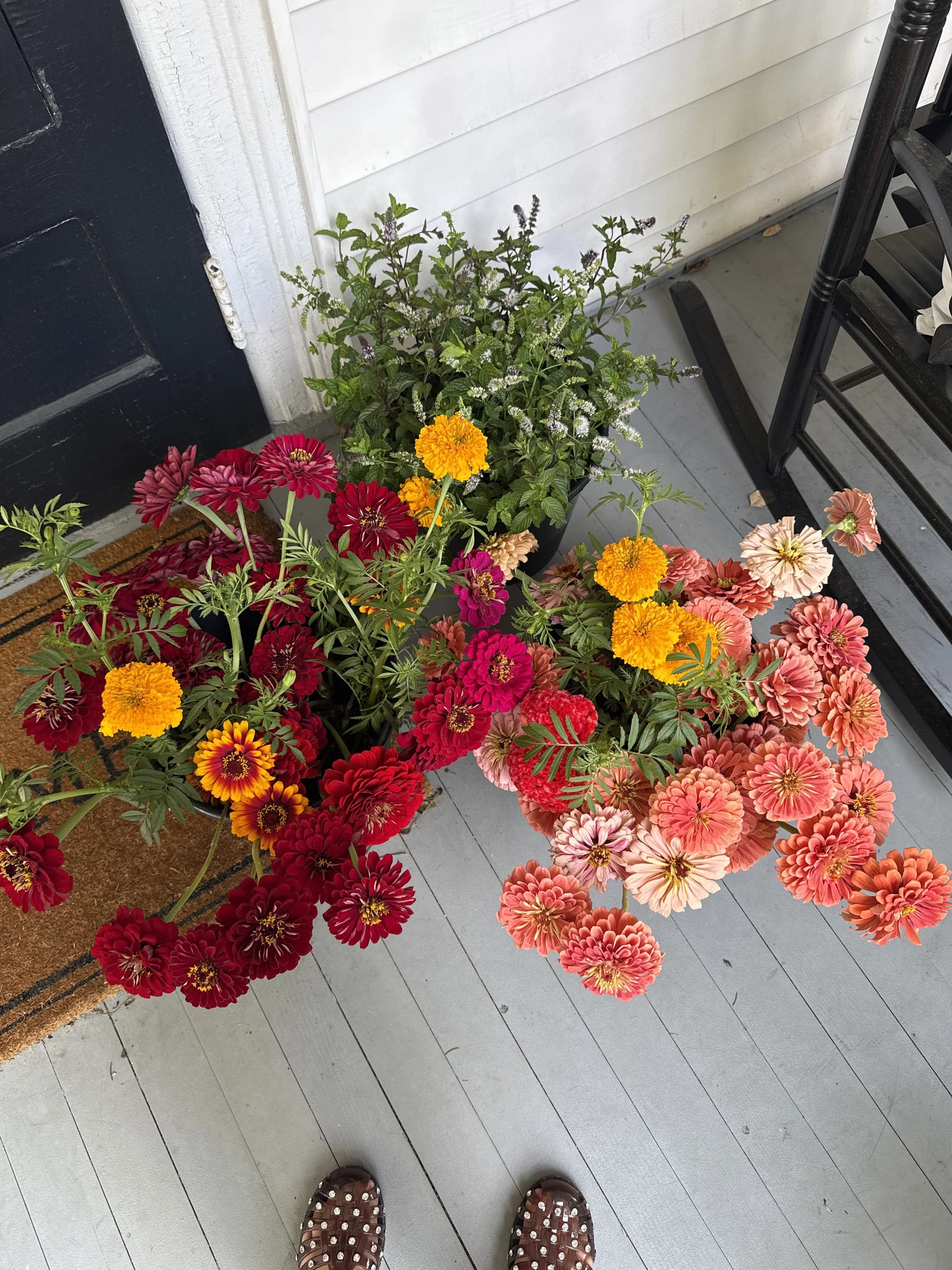 a mixed bucket of flowers for a garden party fundraiser in fair haven, new jersey