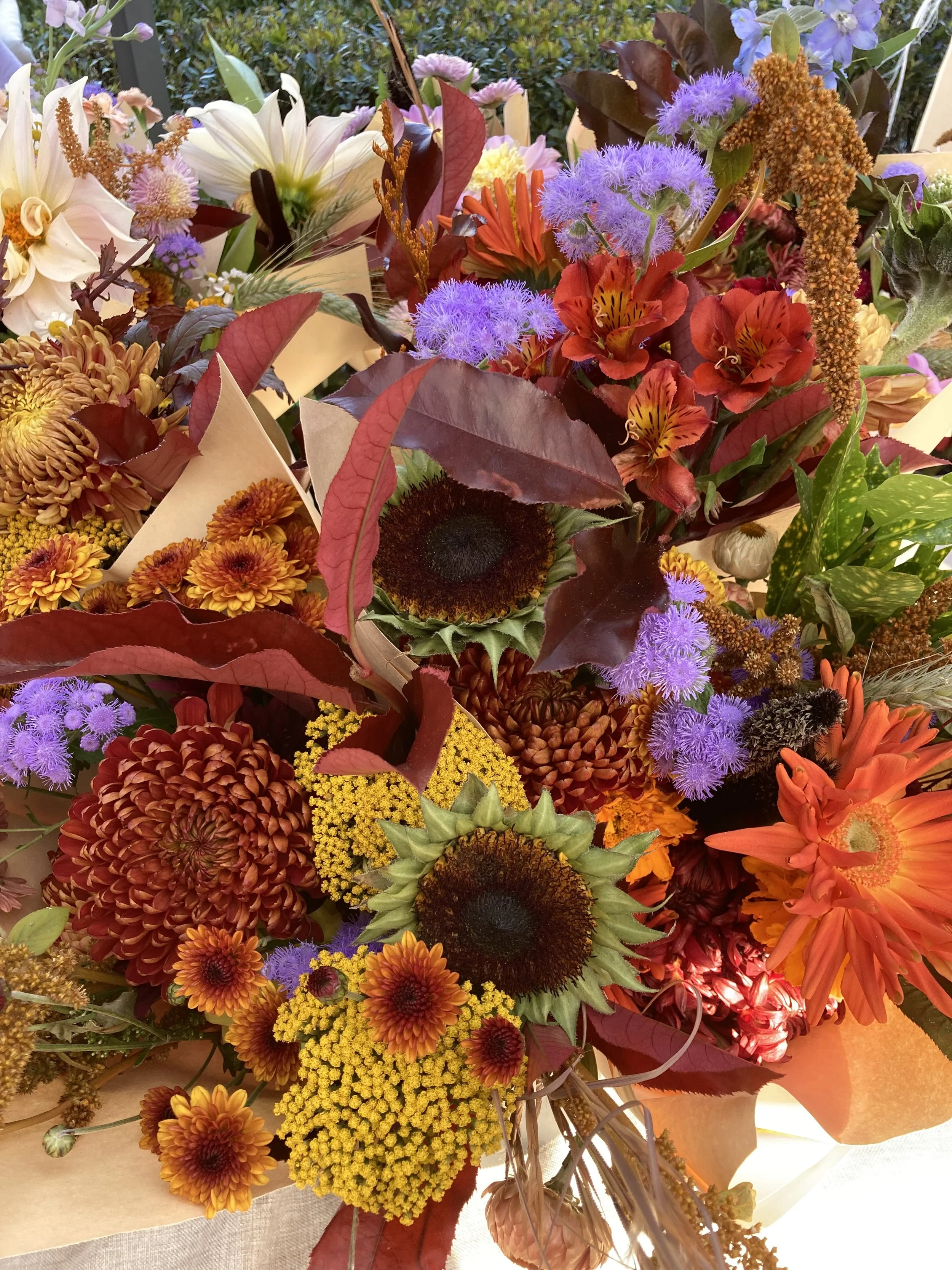 A bunch of market bouquets for the Fair Haven Farmers Market in Fair Haven, New Jersey.  All in Fall colors with mums and sunflowers.