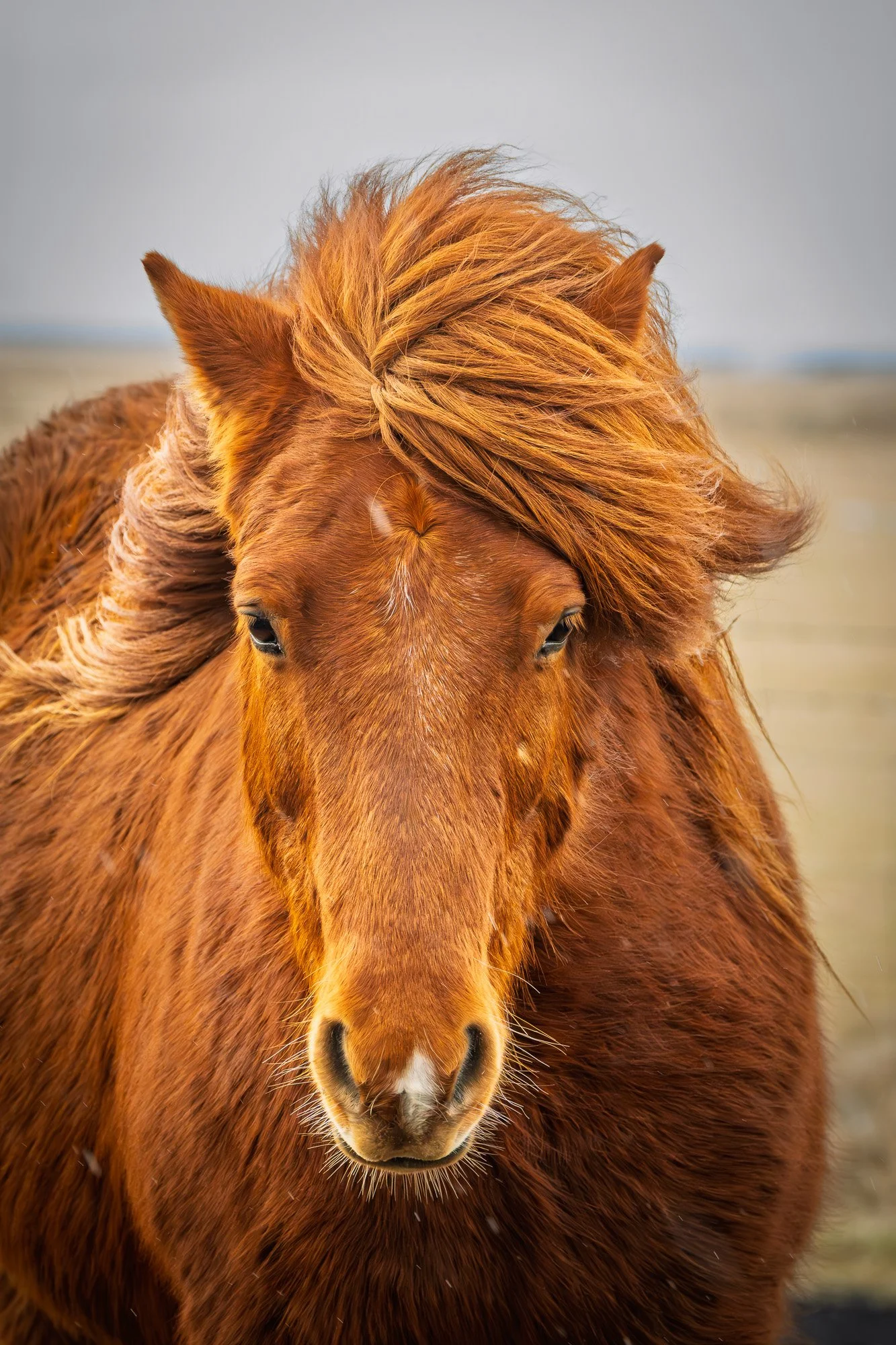_A7R1988-Enhanced-NR-Edit.jpg