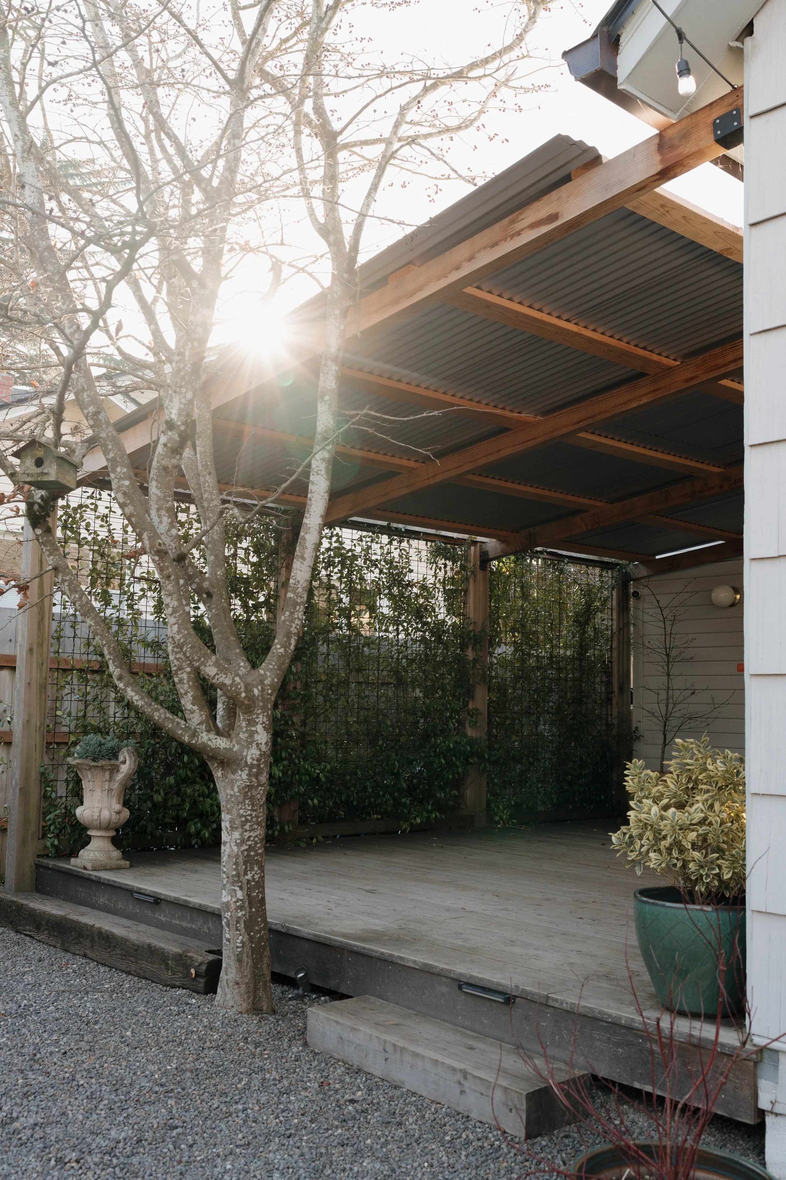 Morning Elopement 