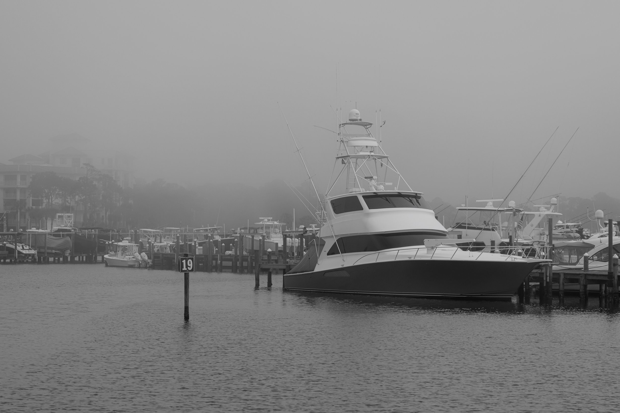 Foggy Harbor - Florida