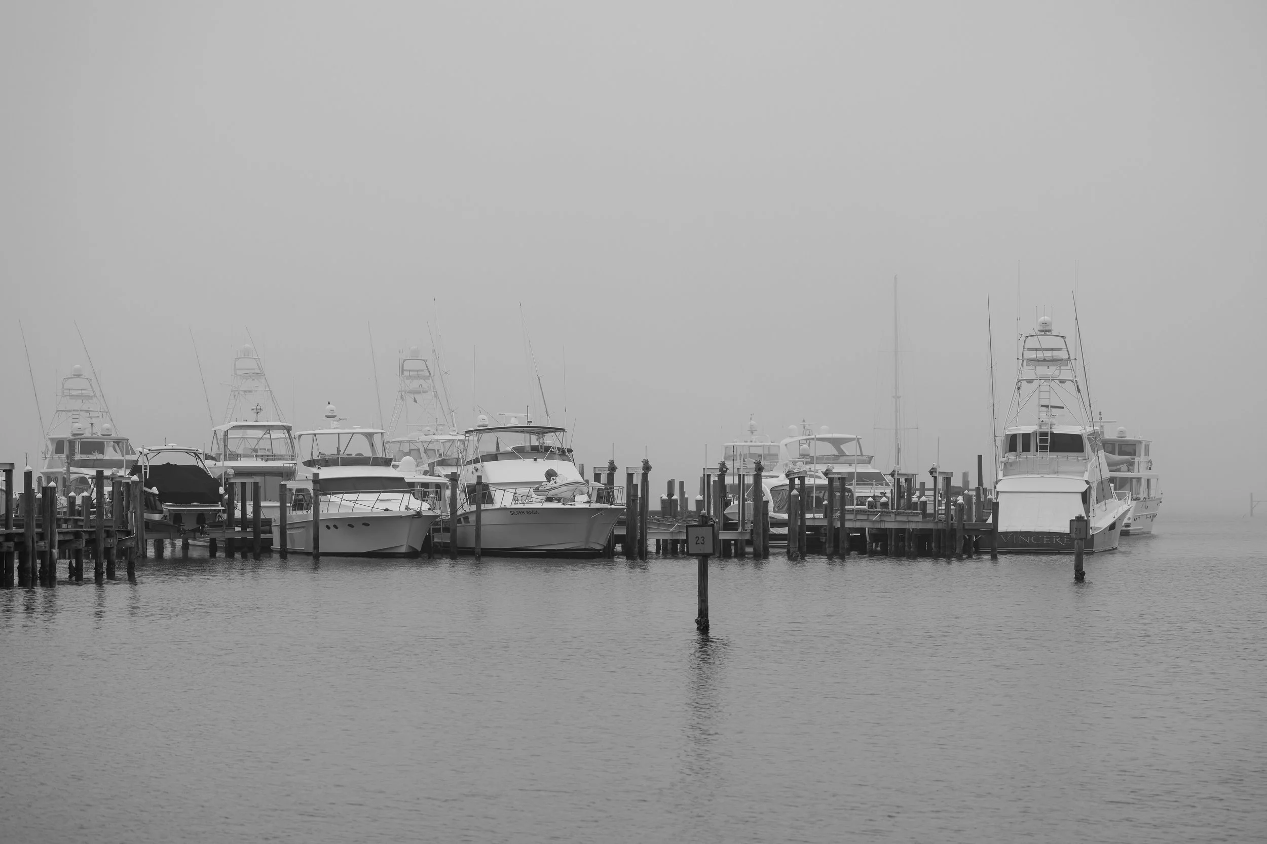 Fog over the Bay - Florida