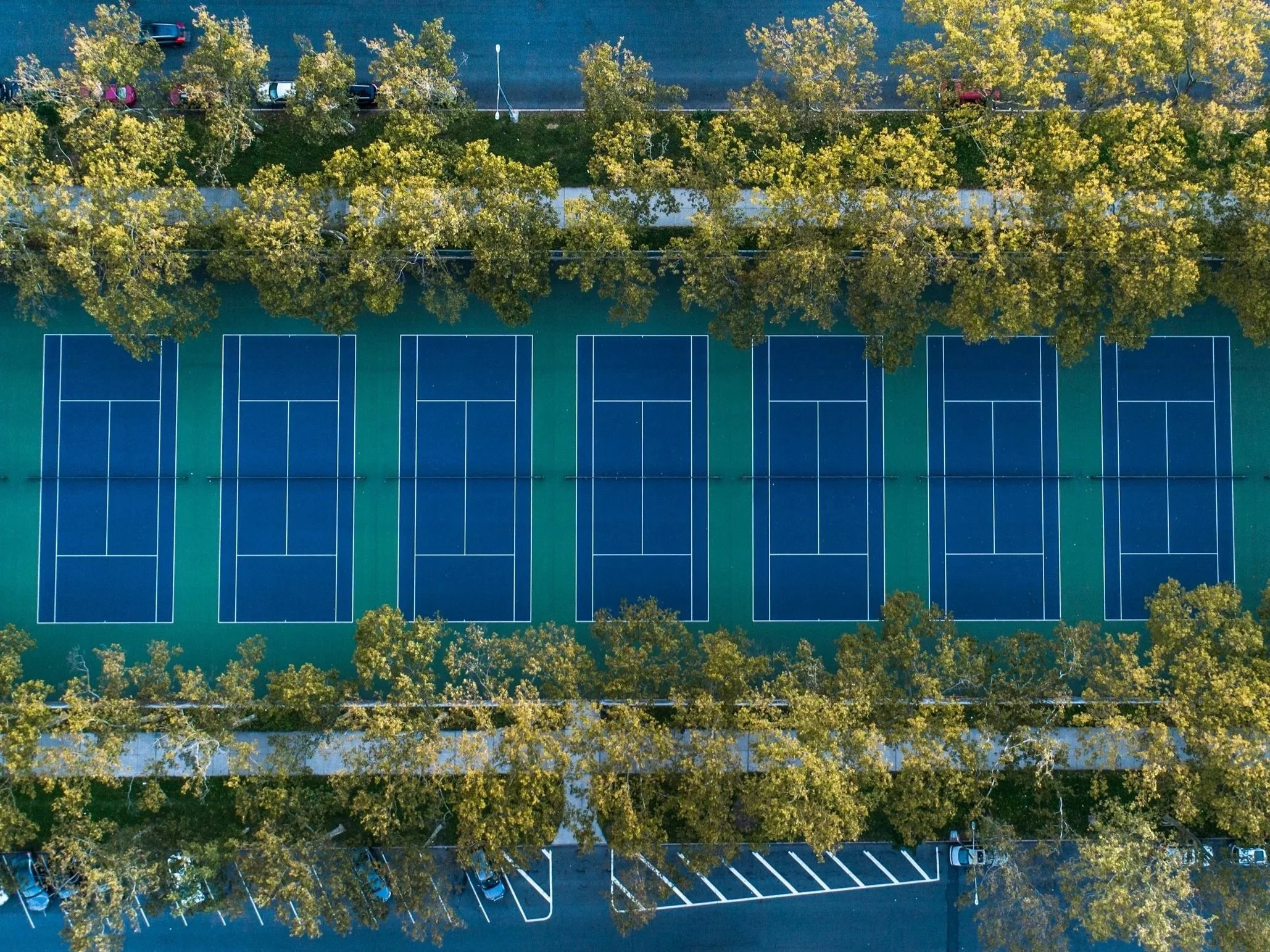 skyline-1%2Bcopy.jpg