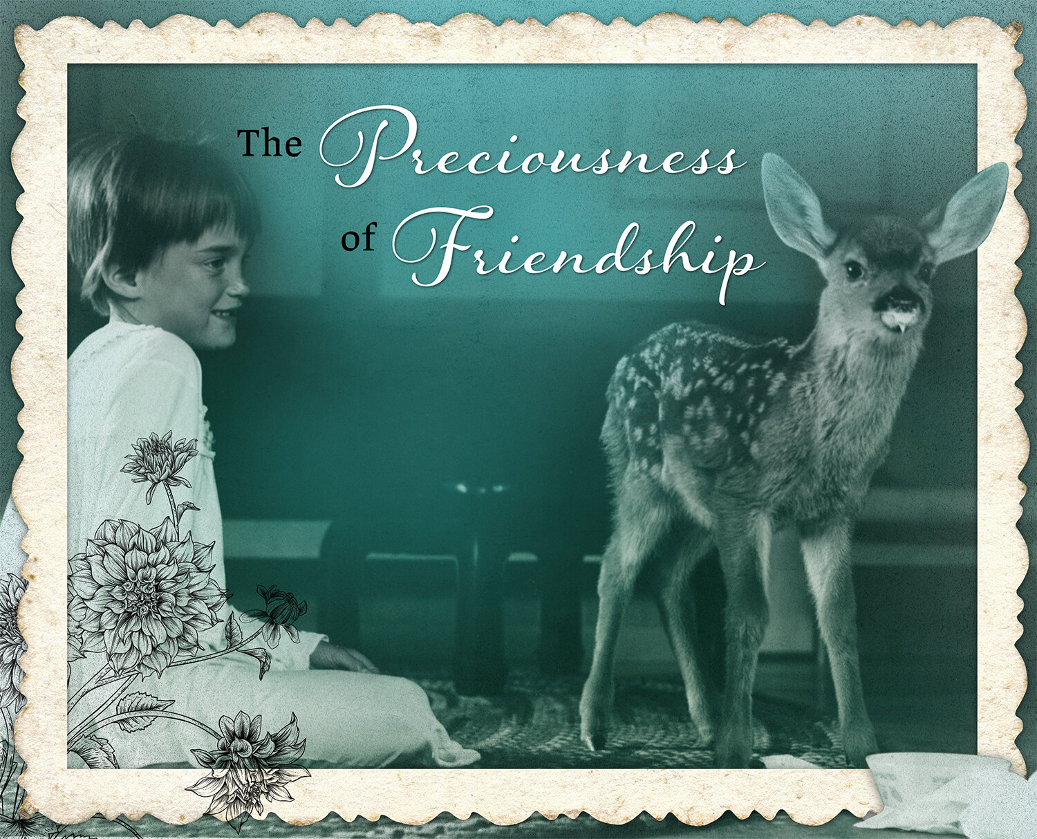 Image #10 - The Preciousness of Friendship