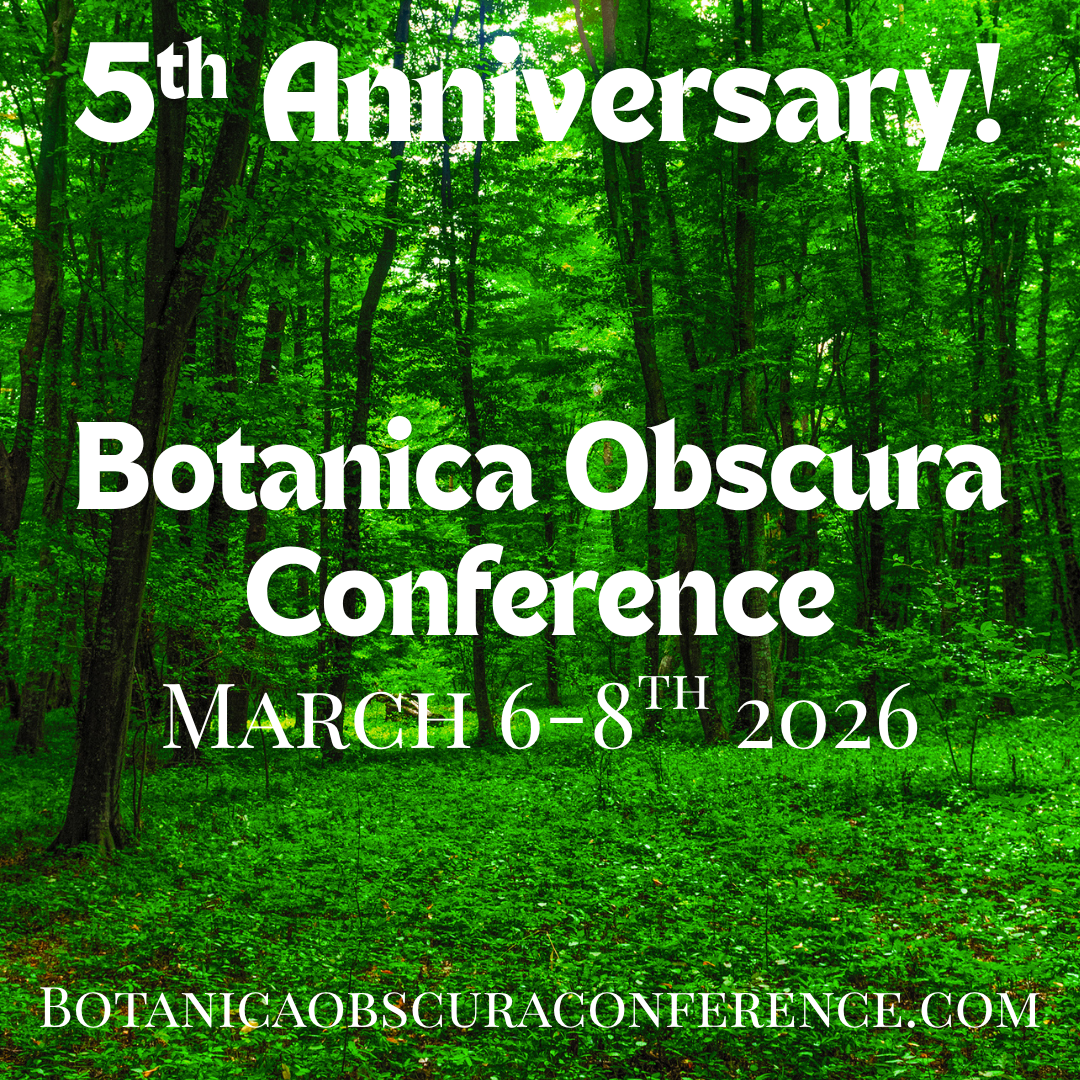 5th Anniversary!.png