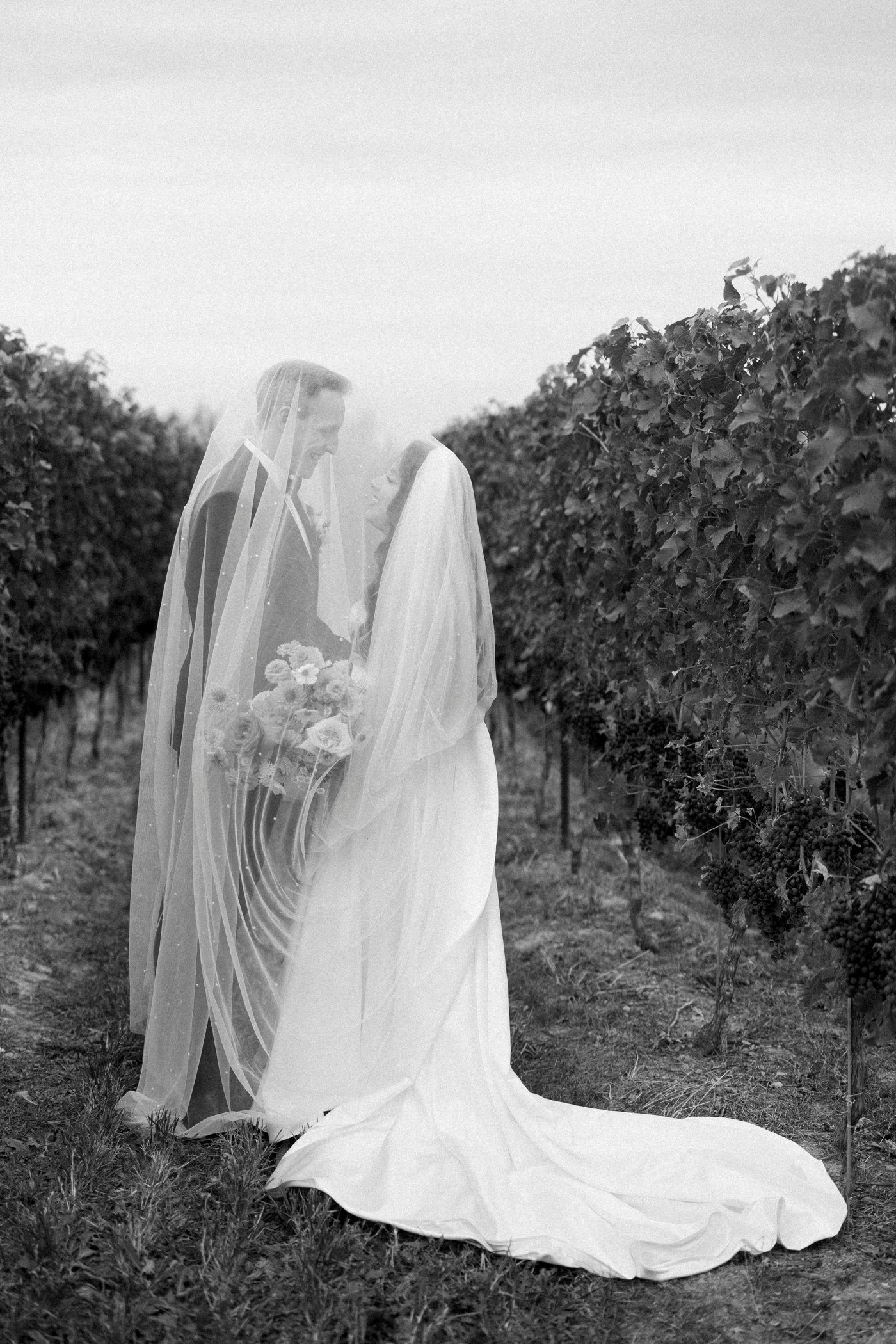 Black and white vineyard bridal portraits