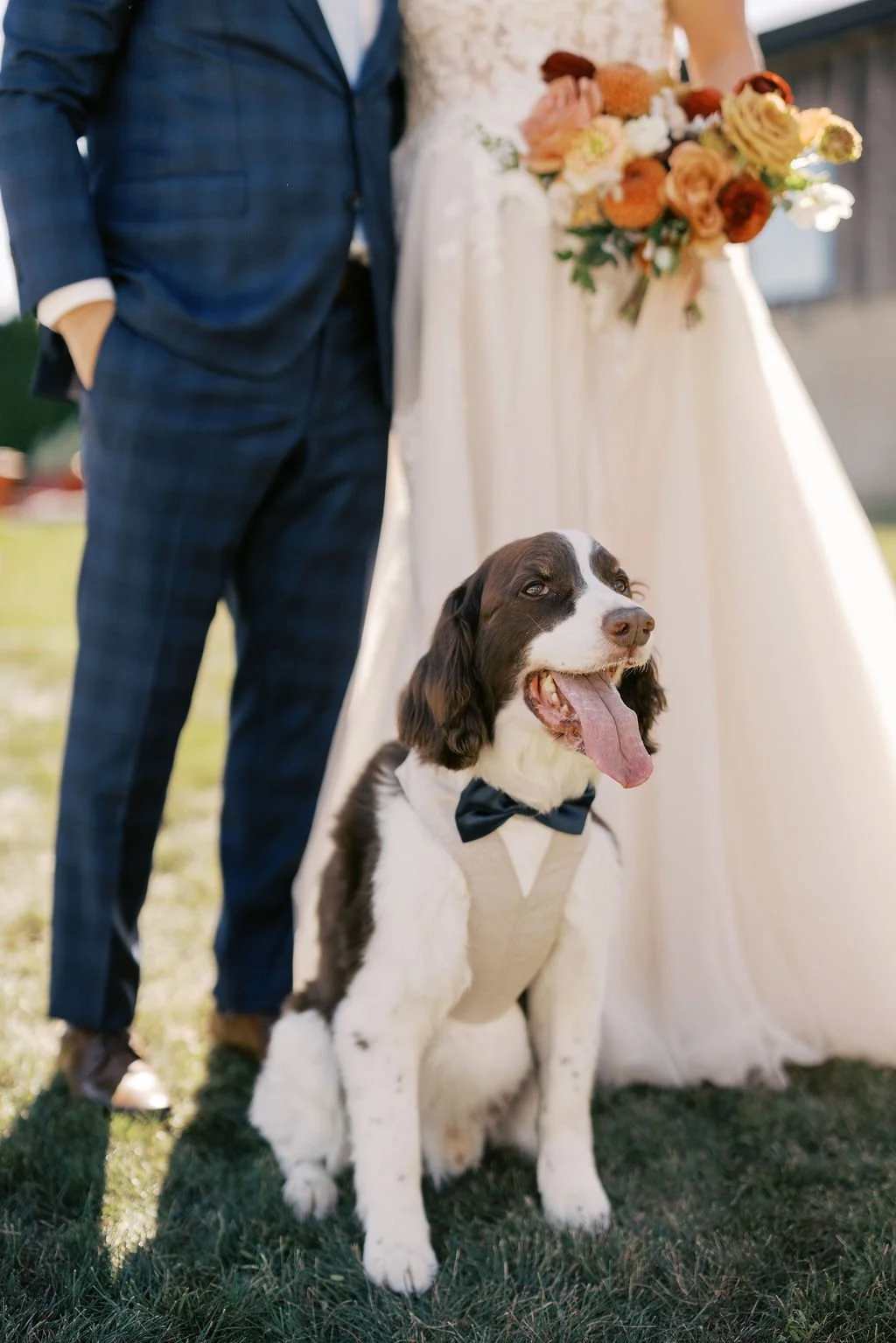 Sue-Ann-Staff-Tented-Wedding-Lindsay-Plank-Events-07