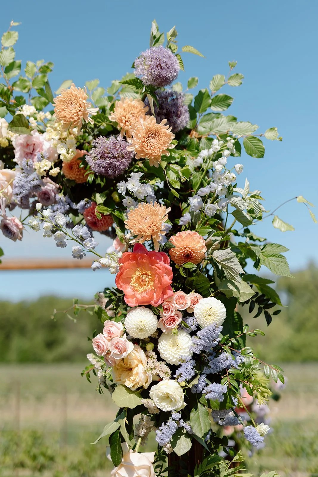  Close-up of colorful summer wedding chuppah florals featuring coral peonies, peach dahlias, purple allium, and garden roses by Threads &amp; Blooms. 
