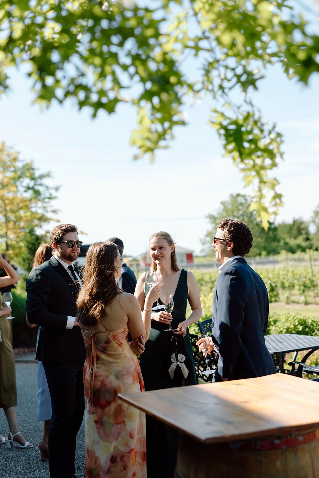  Vineyard wedding coordination and design portfolio by Niagara planner Lindsay Plank Events. 