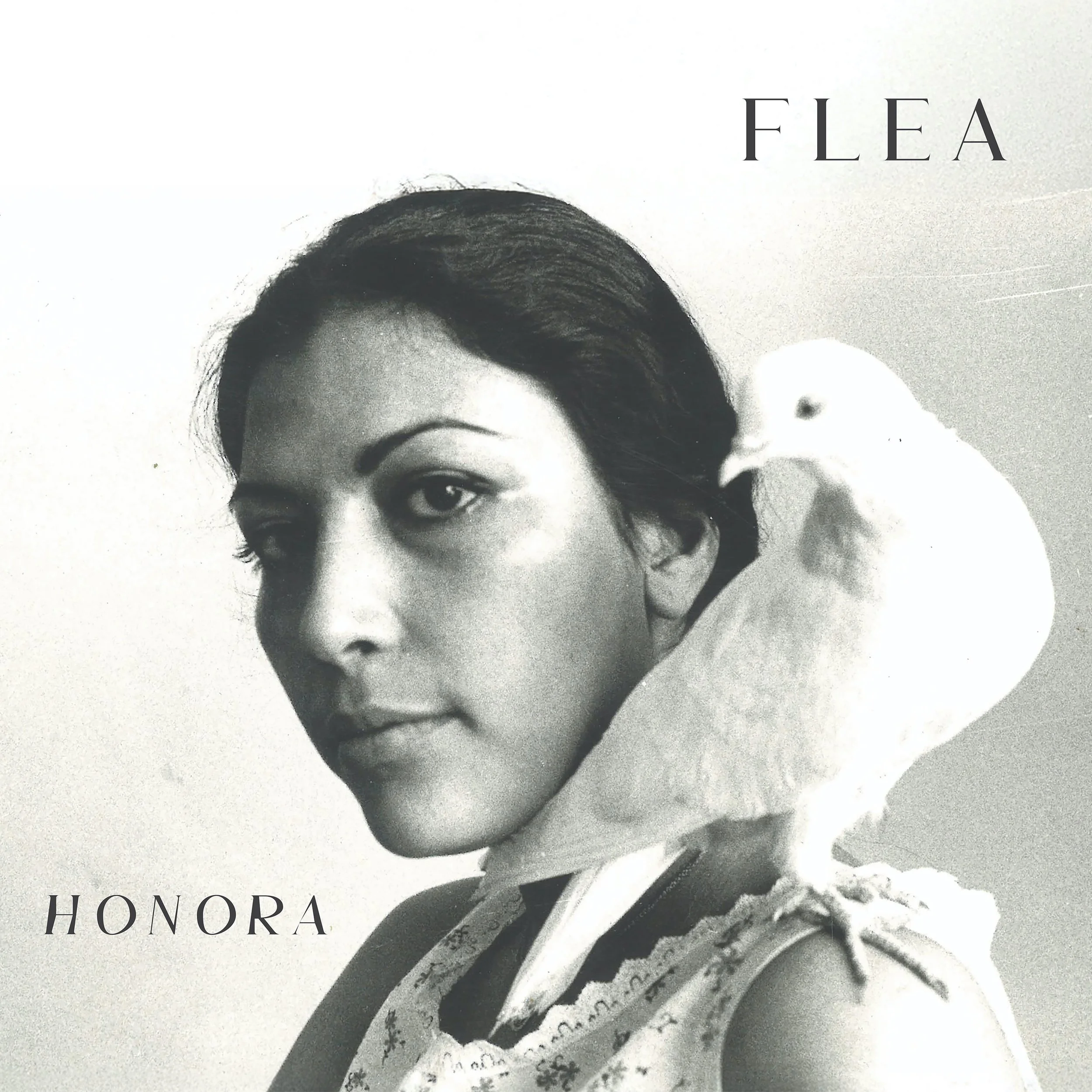  Flea  Honora 2026