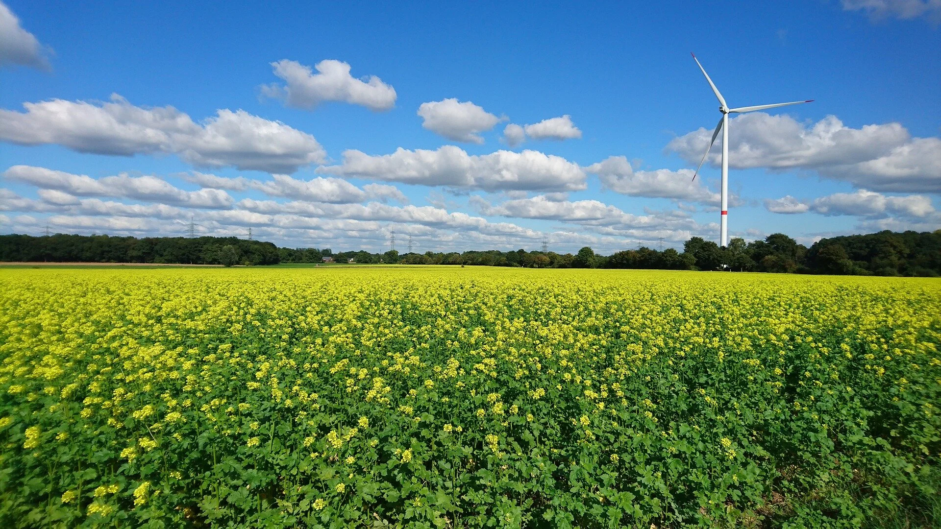 Regenerating the Earth