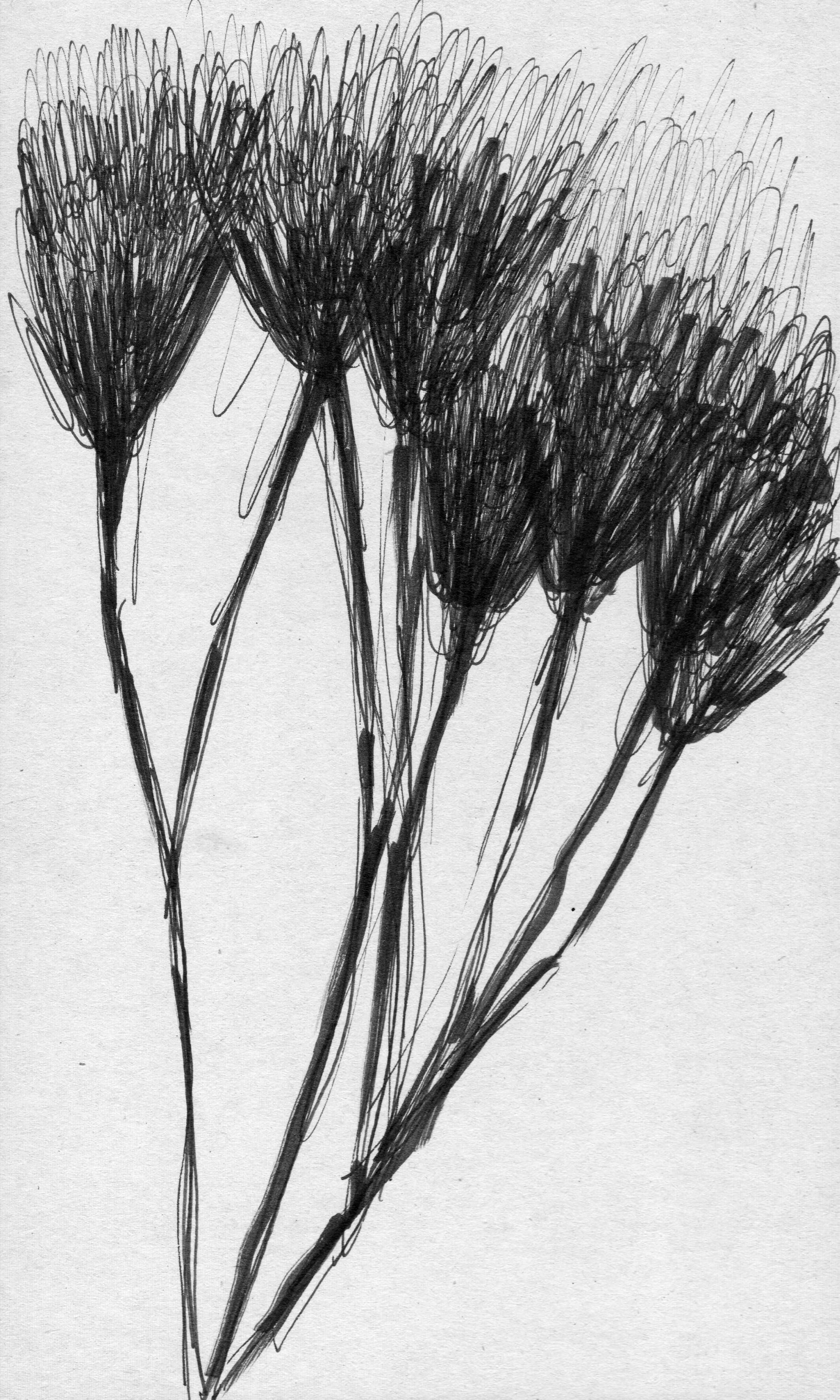 scan 22.jpeg