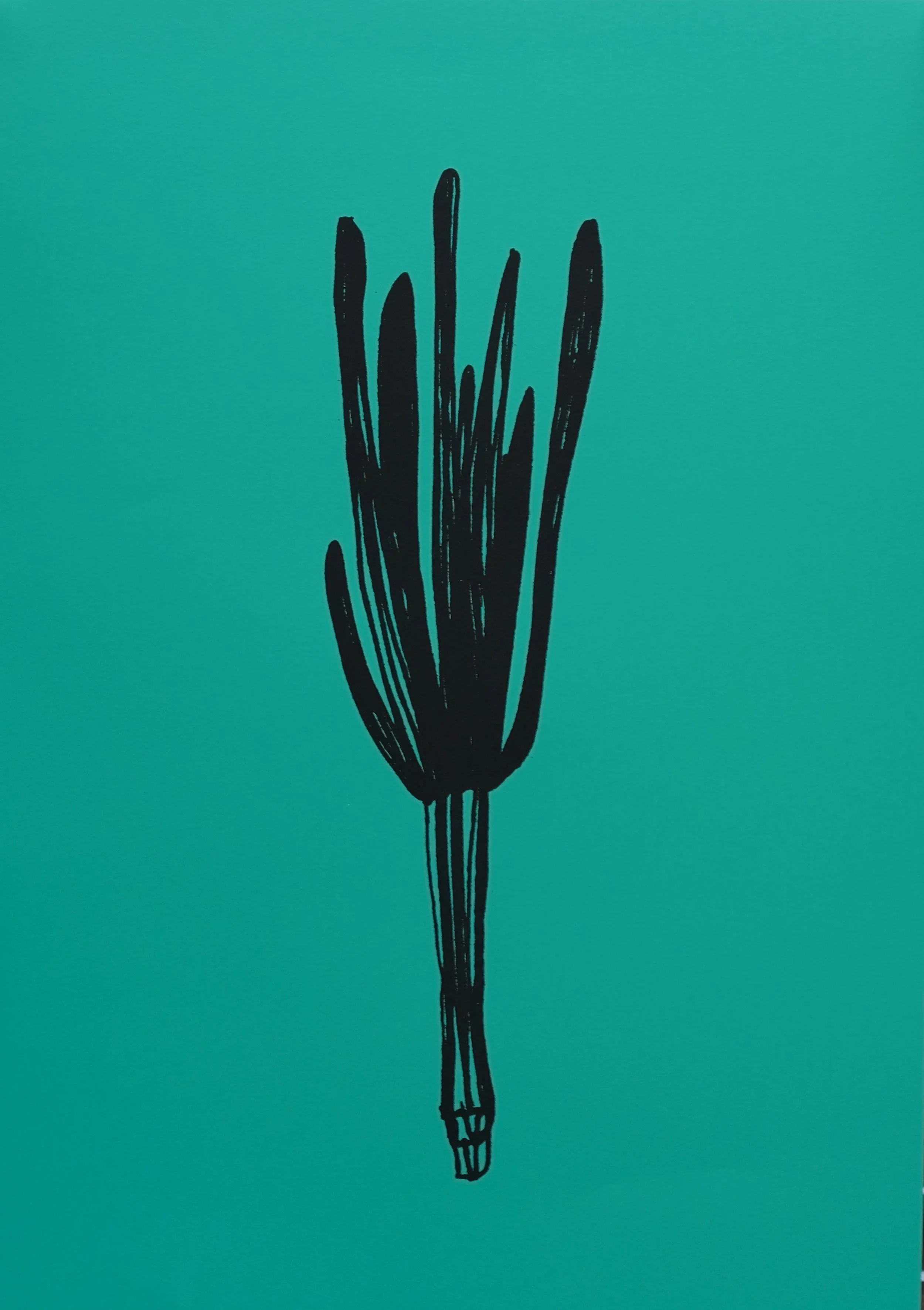 Plante #1, 2022
70 cm x 50 cm
1 couleur / 5 Editions 
Atelier Kissaria