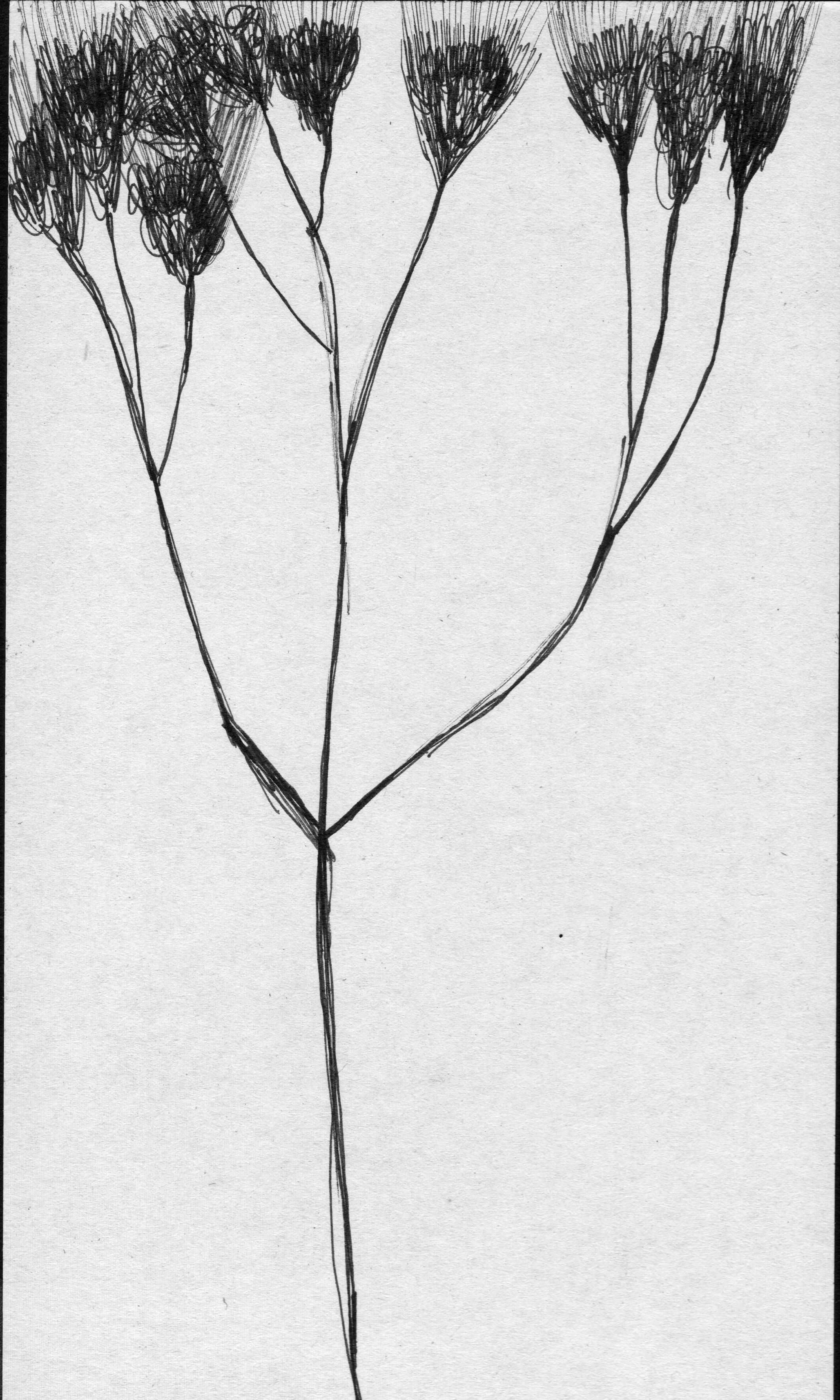 scan 9.jpeg
