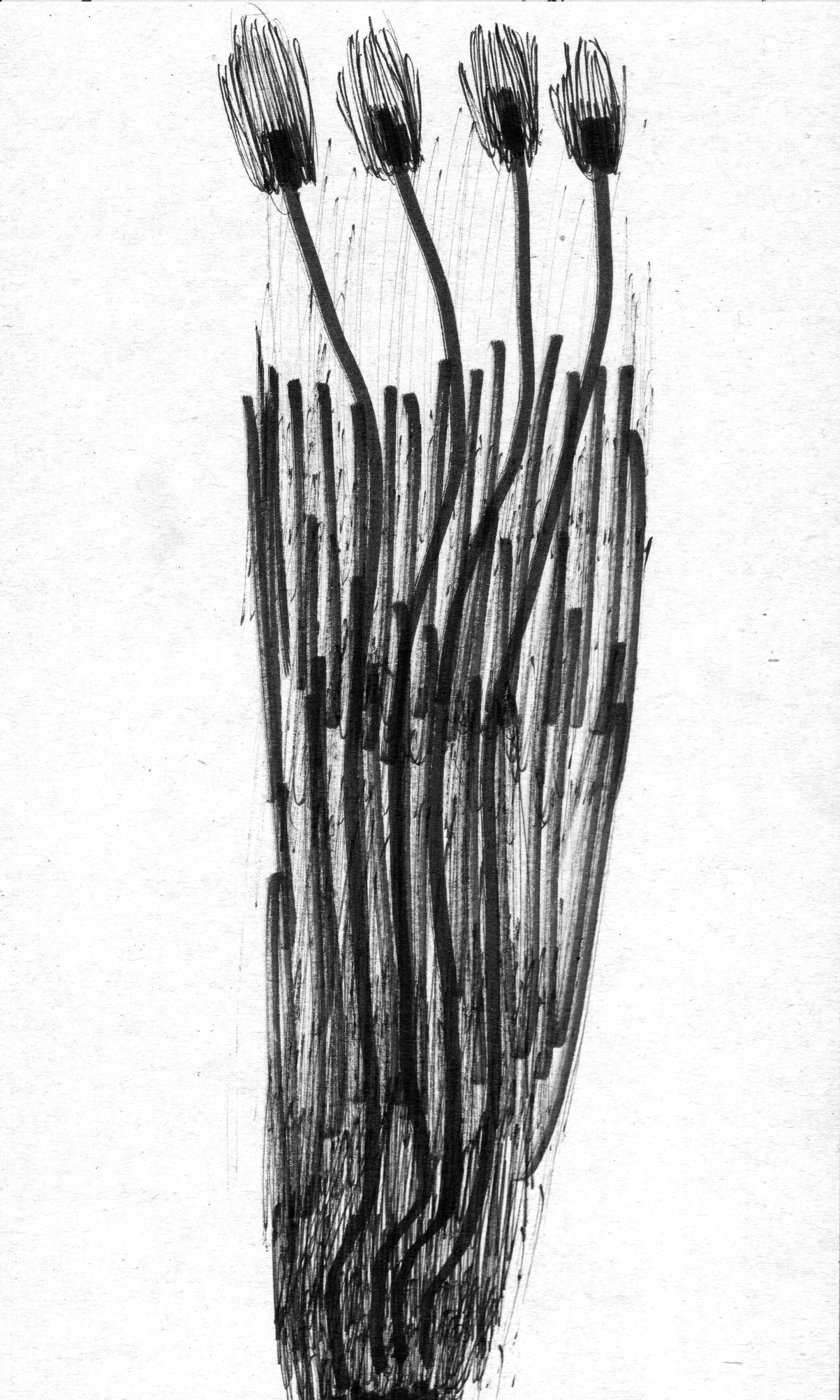 scan 7.jpeg