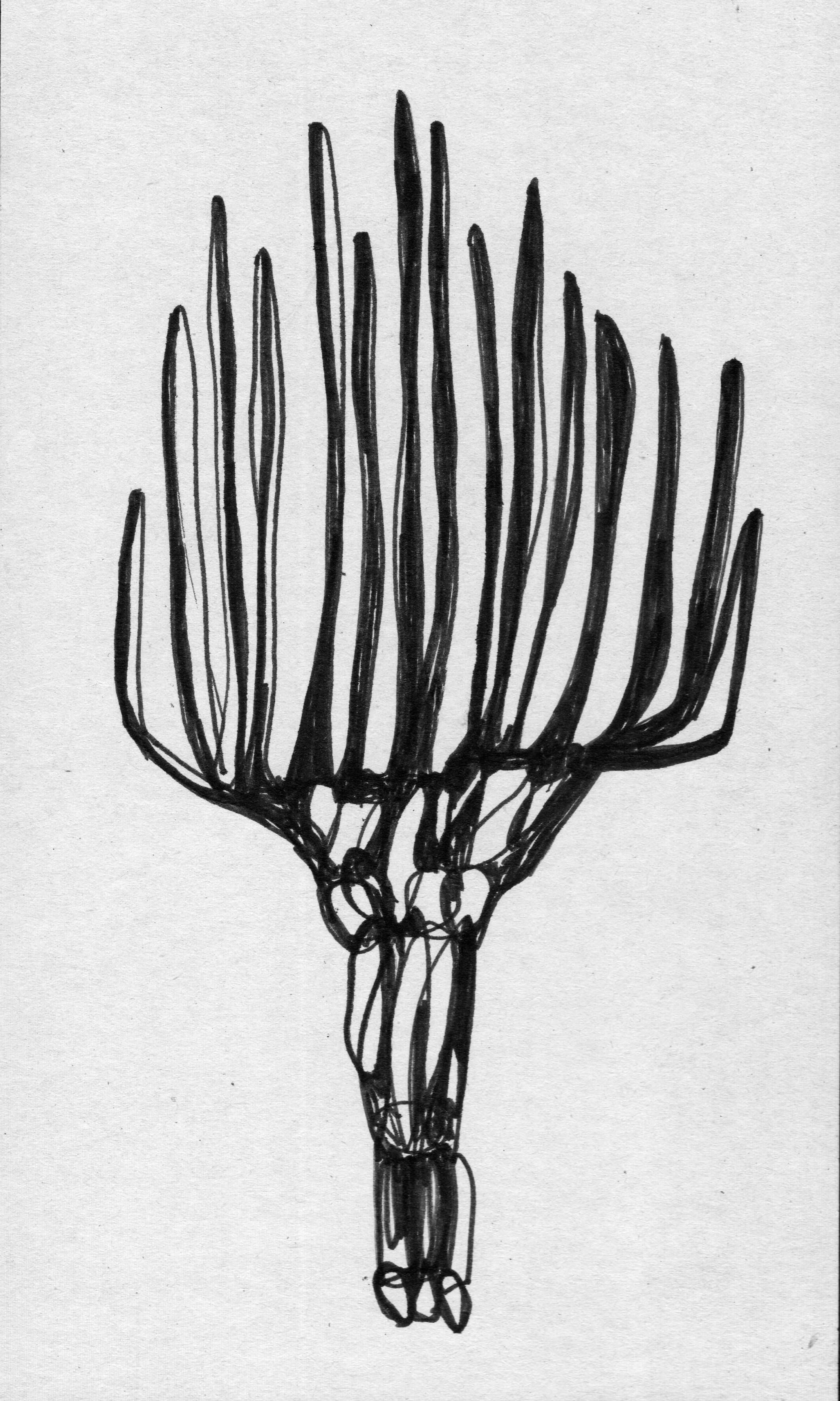 scan 30.jpeg
