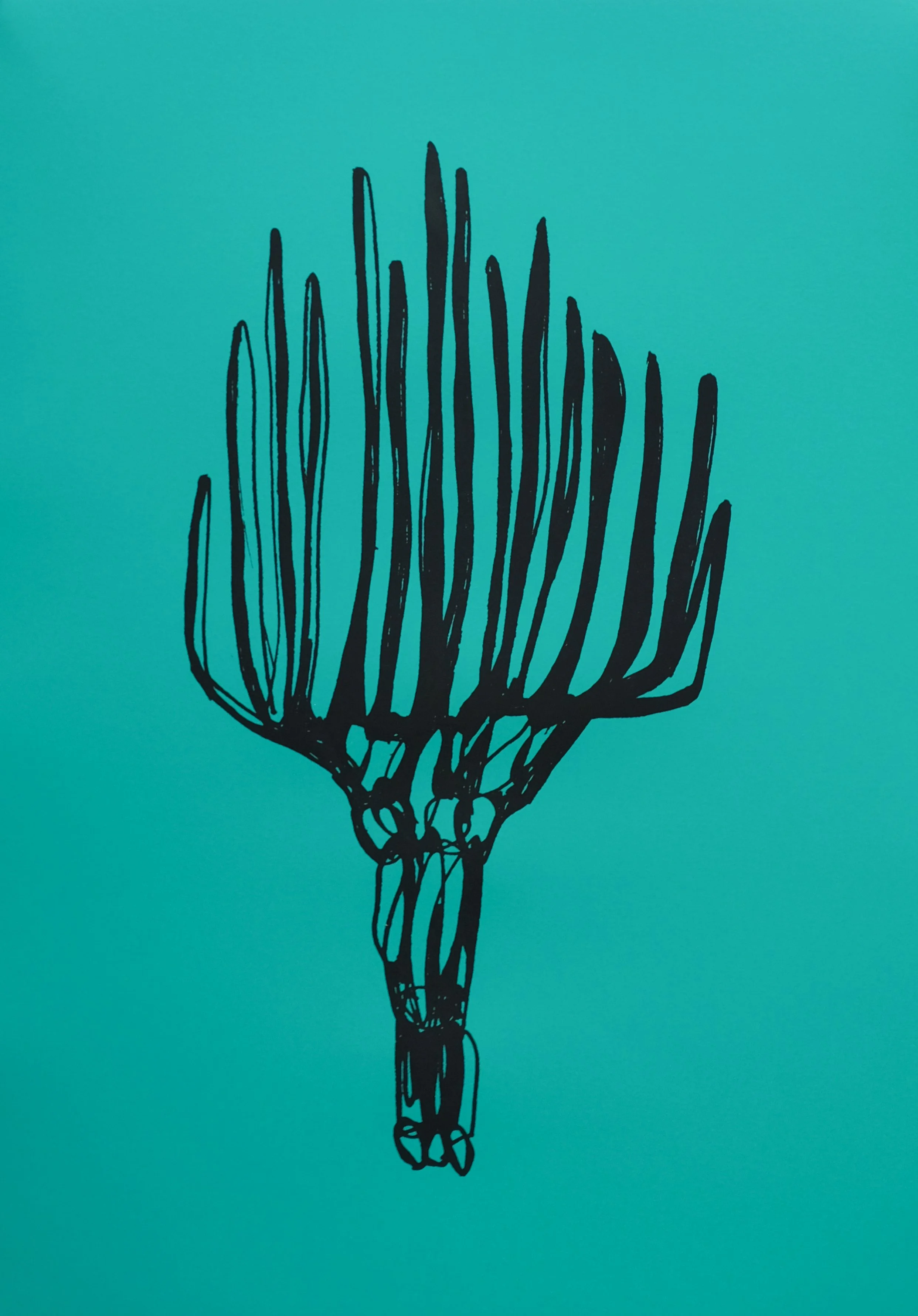 Plante #3, 2022
70 cm x 50 cm
1 couleur / 5 Editions 
Atelier Kissaria