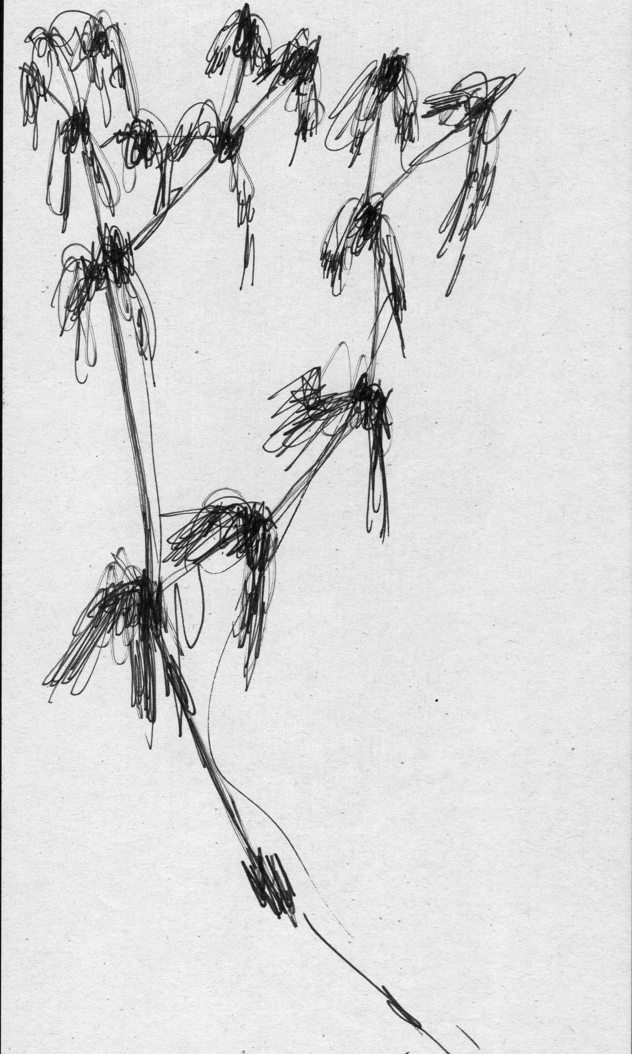 scan 25.jpeg