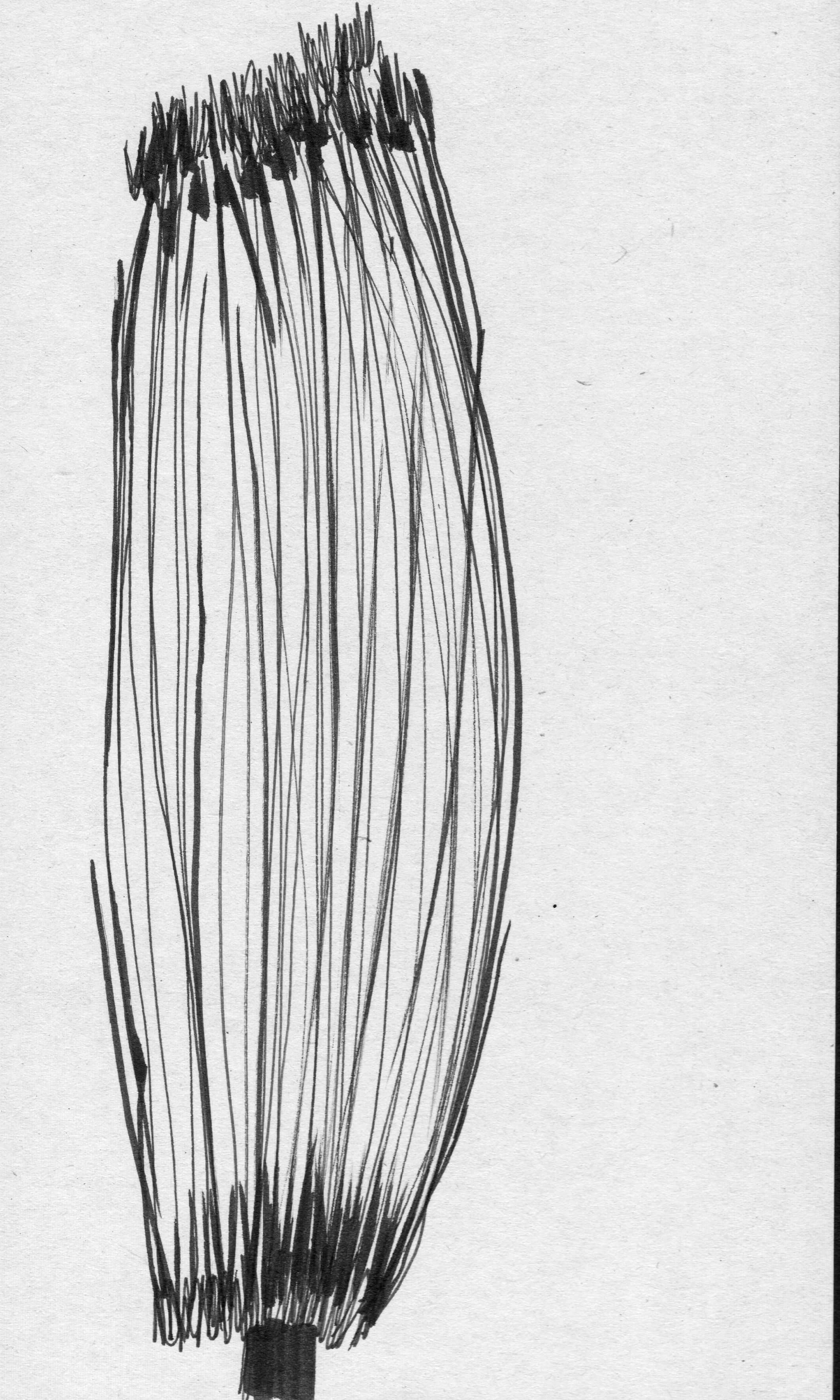 scan 21.jpeg