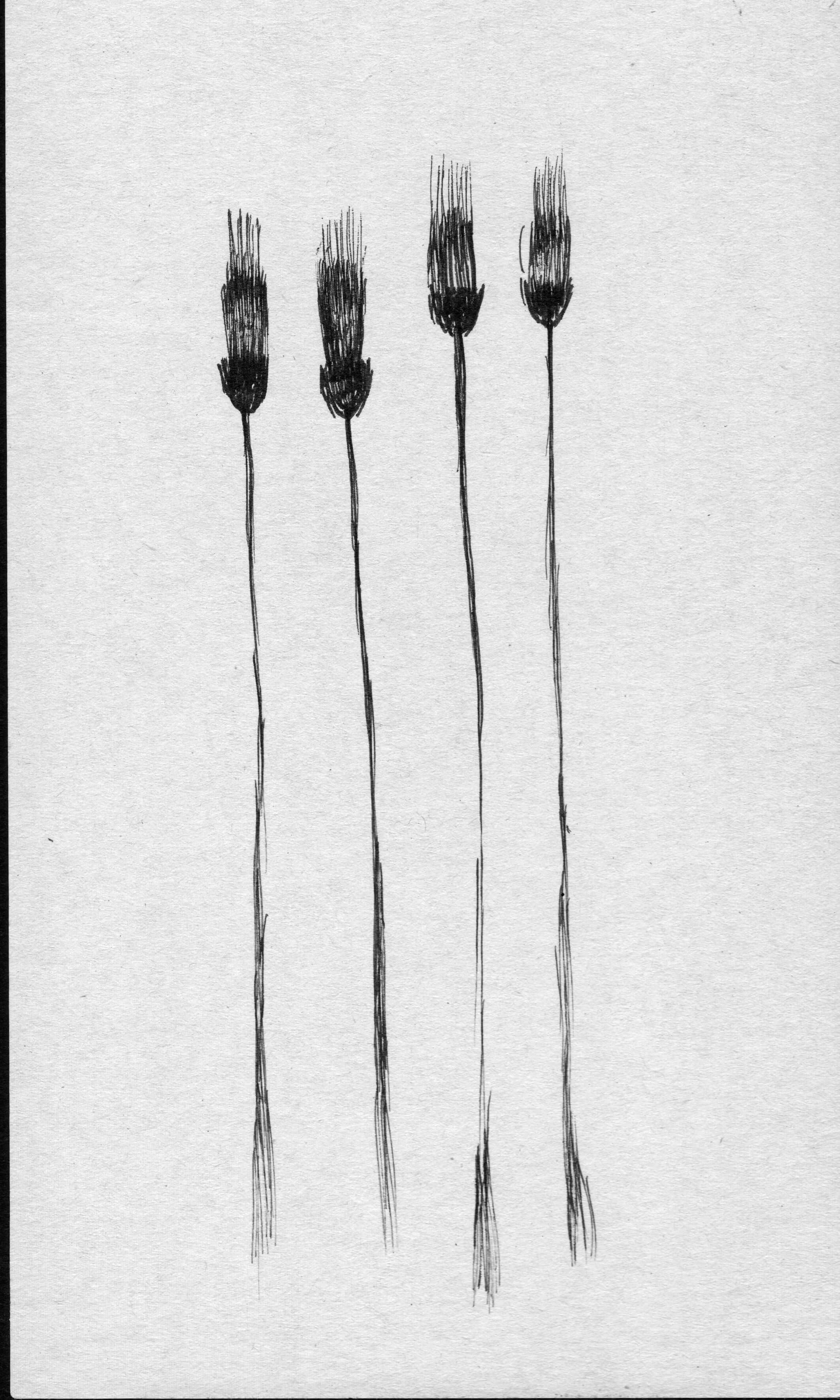 scan 18.jpeg