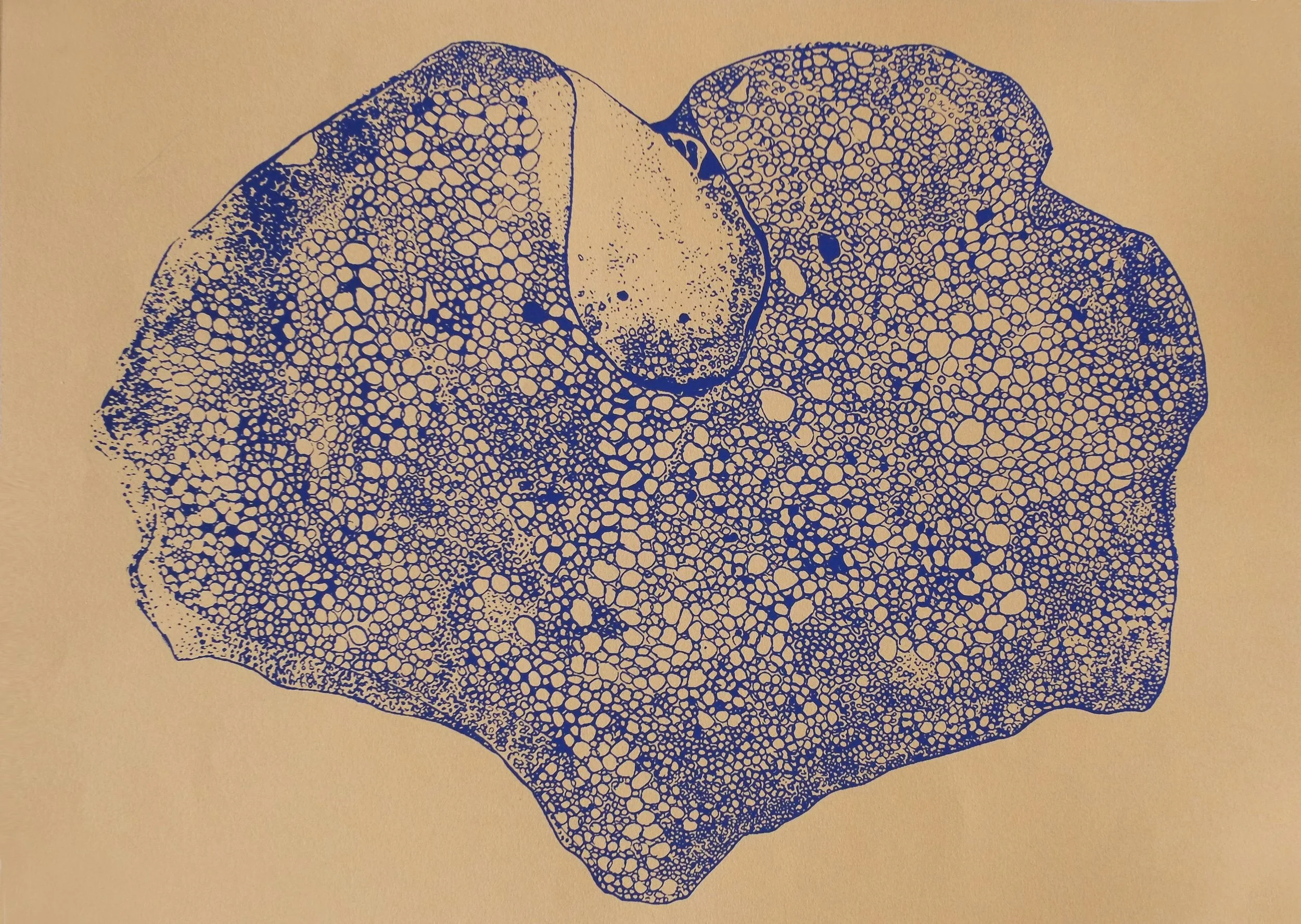 CORAIL , 2019
28 cm x 39 cm
1 couleur
Atelier Kissaria
10 Éditions
