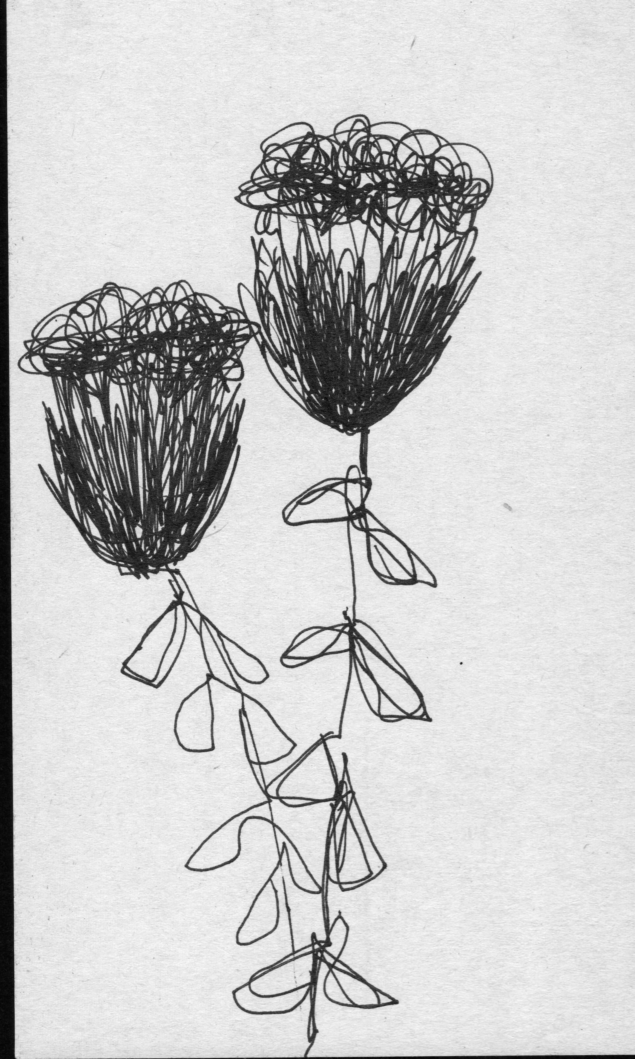 scan 19.jpeg