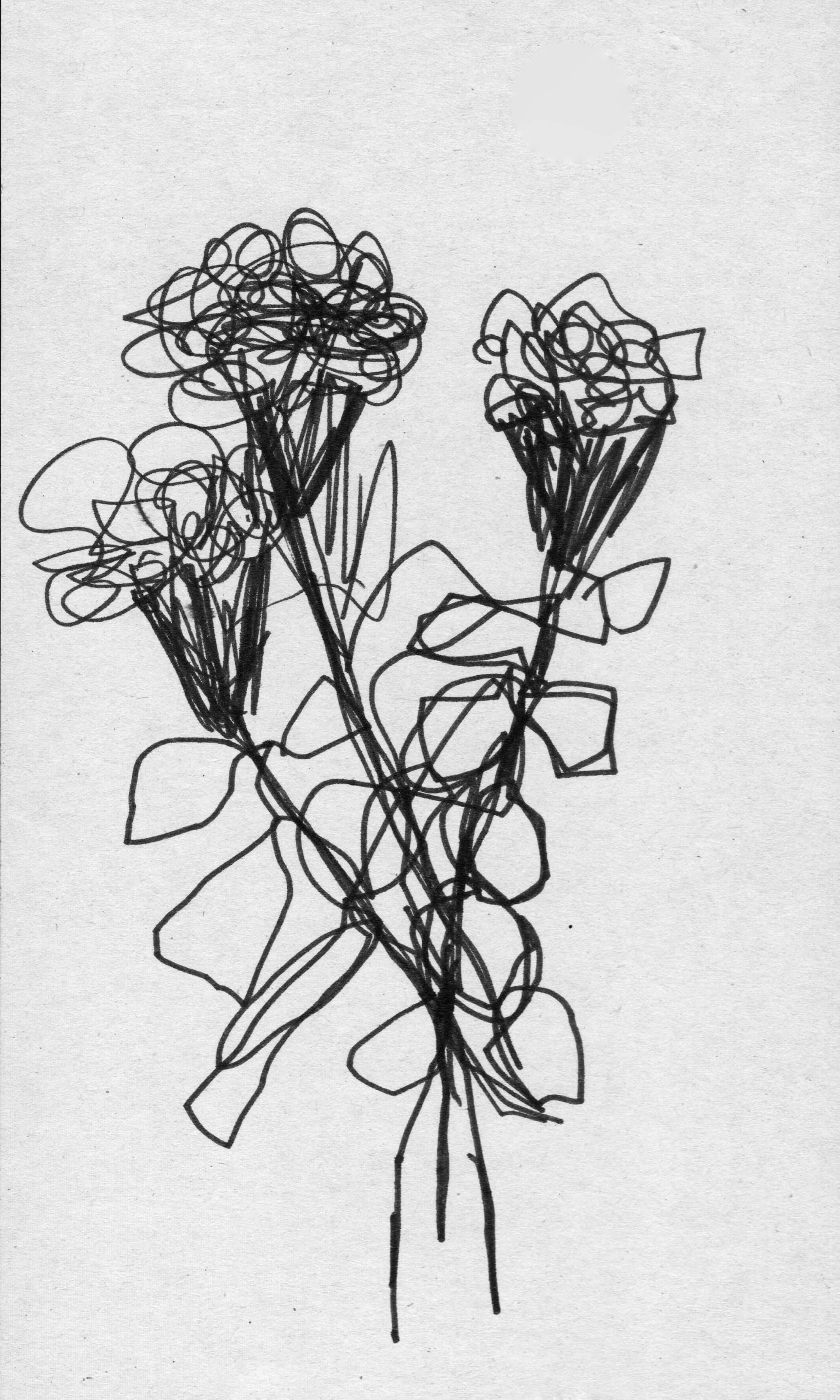 scan 11.jpeg