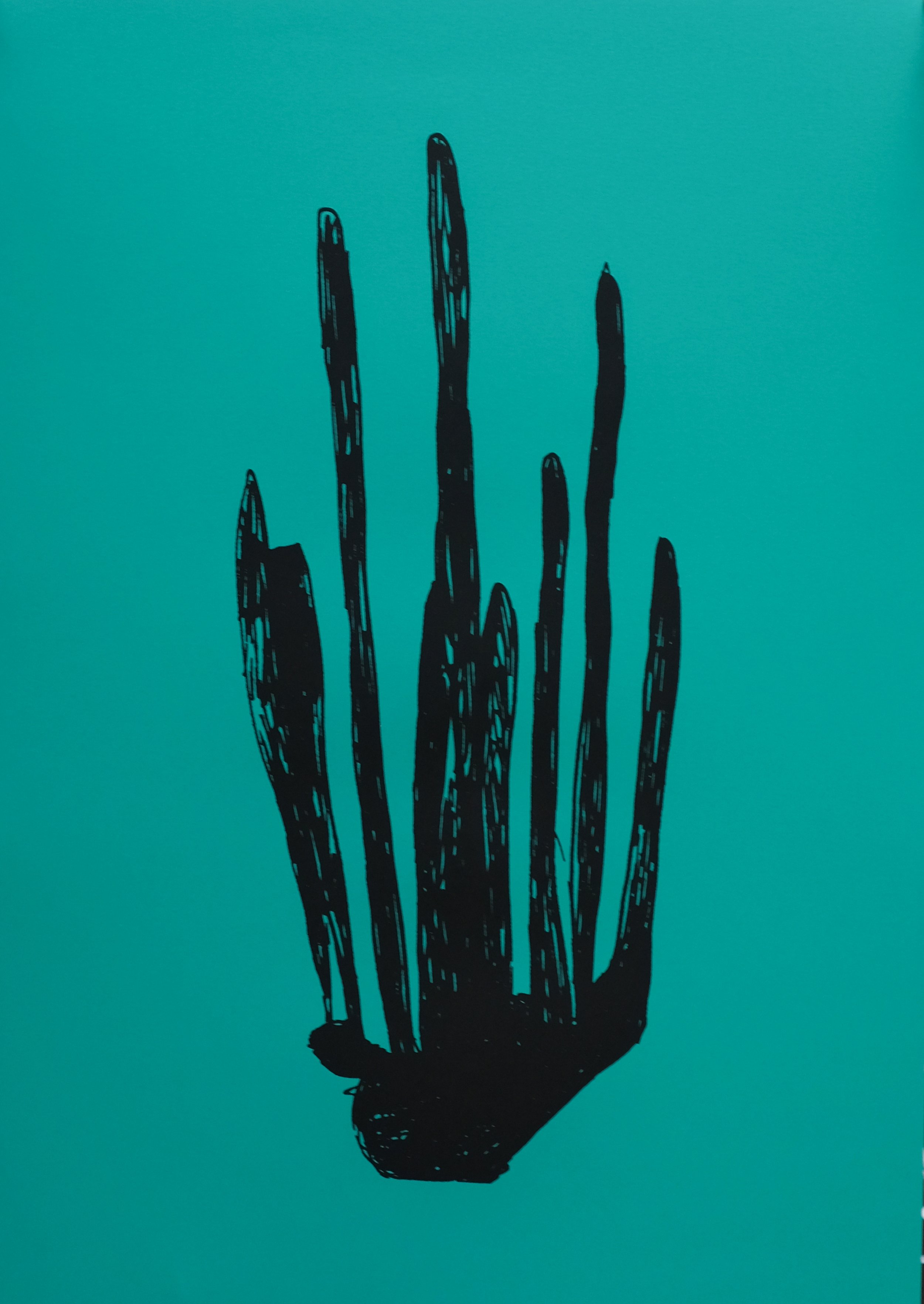 Plante #2, 2022
70 cm x 50 cm
1 couleur / 5 Editions 
Atelier Kissaria