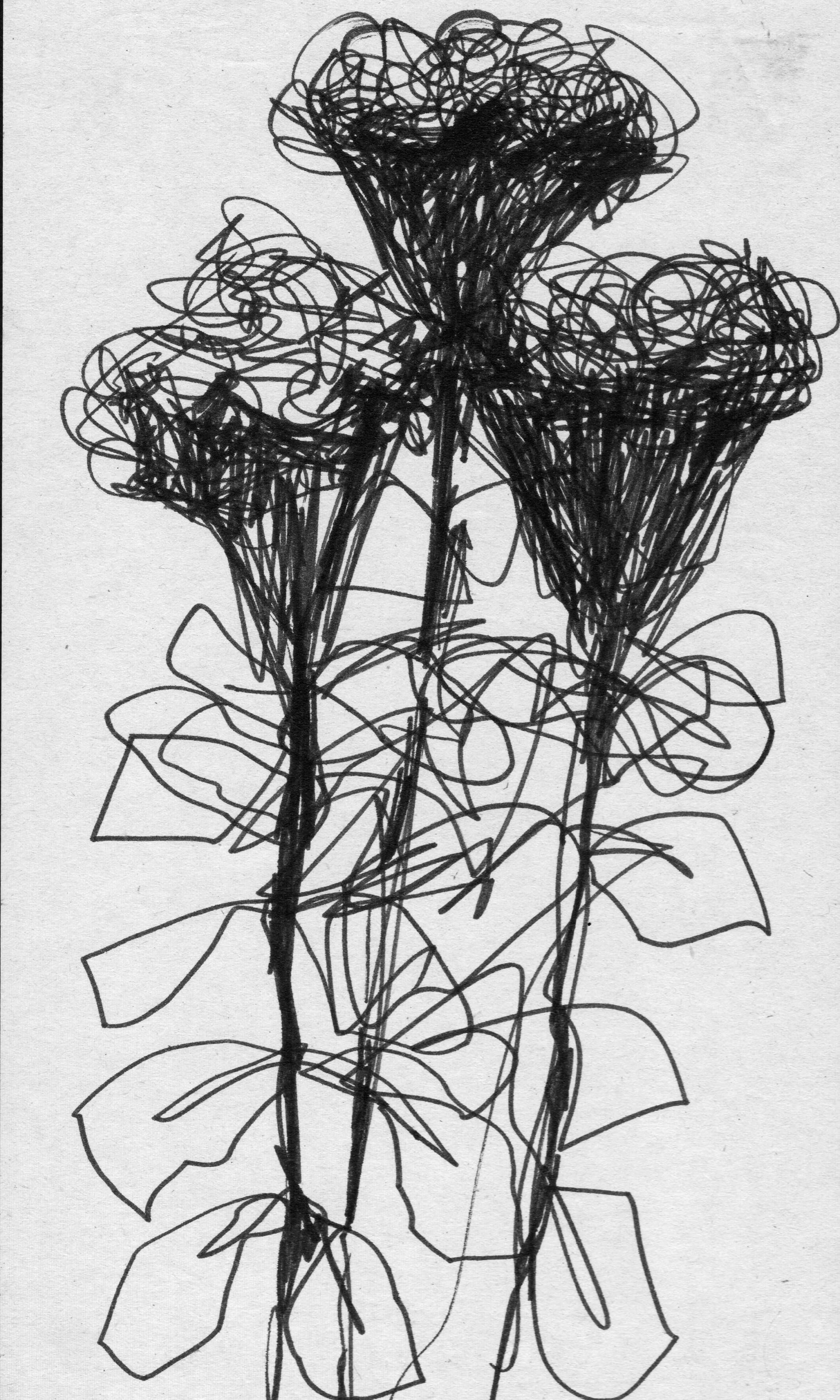 scan 10.jpeg