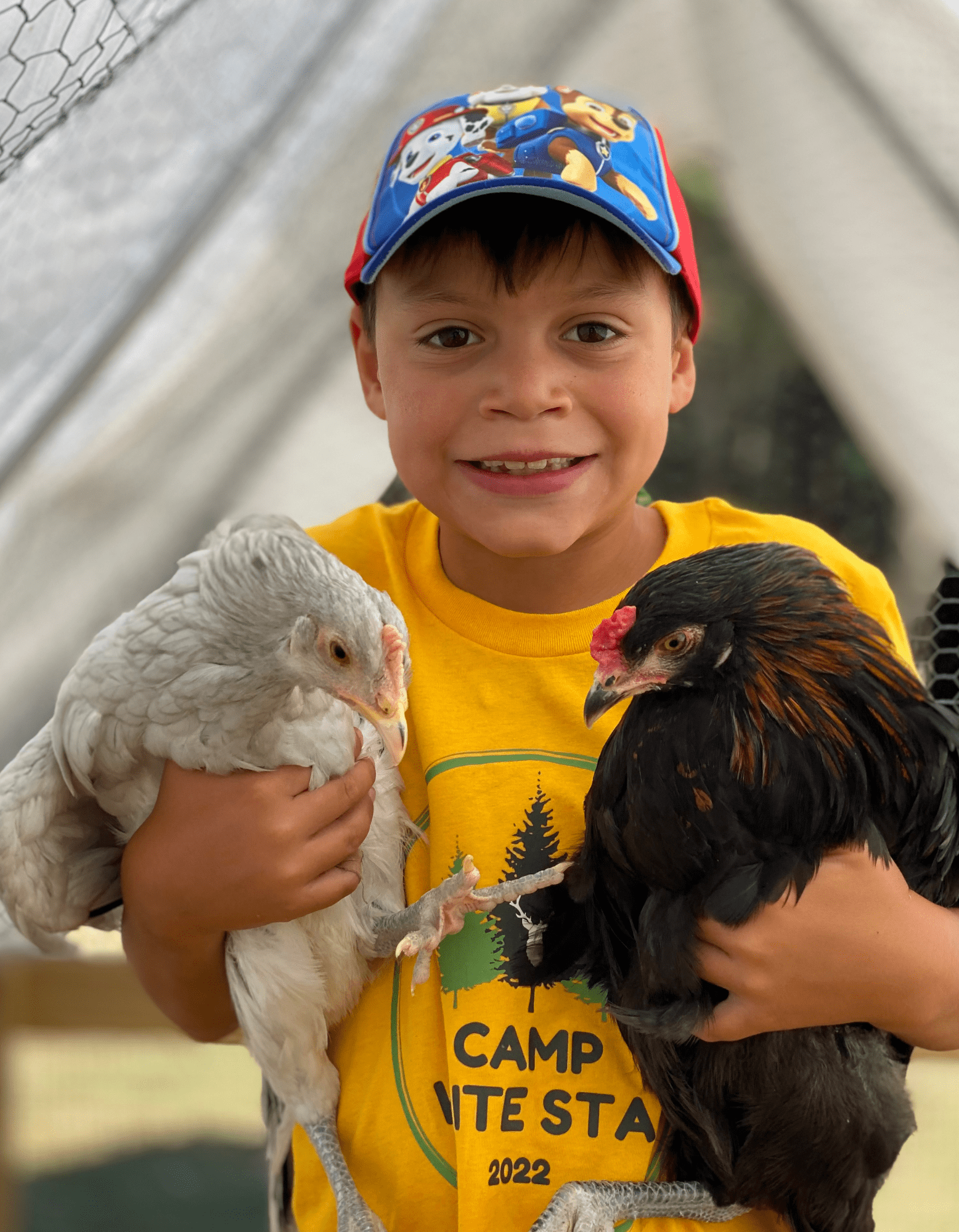Kids_6-11_Camp White Stag_Boy + Chickens.png