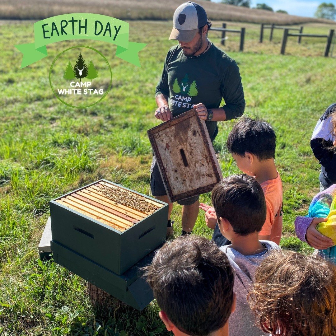 🌍 Camp White Stag will be celebrating Earth Day with our campers tomorrow, April 20th! 🌿🐝. We have an incredible lineup of activities that will educate and engage our campers while having tons of fun. 📚🔍⁠
⁠
From introducing a new bee hive 🐝 and