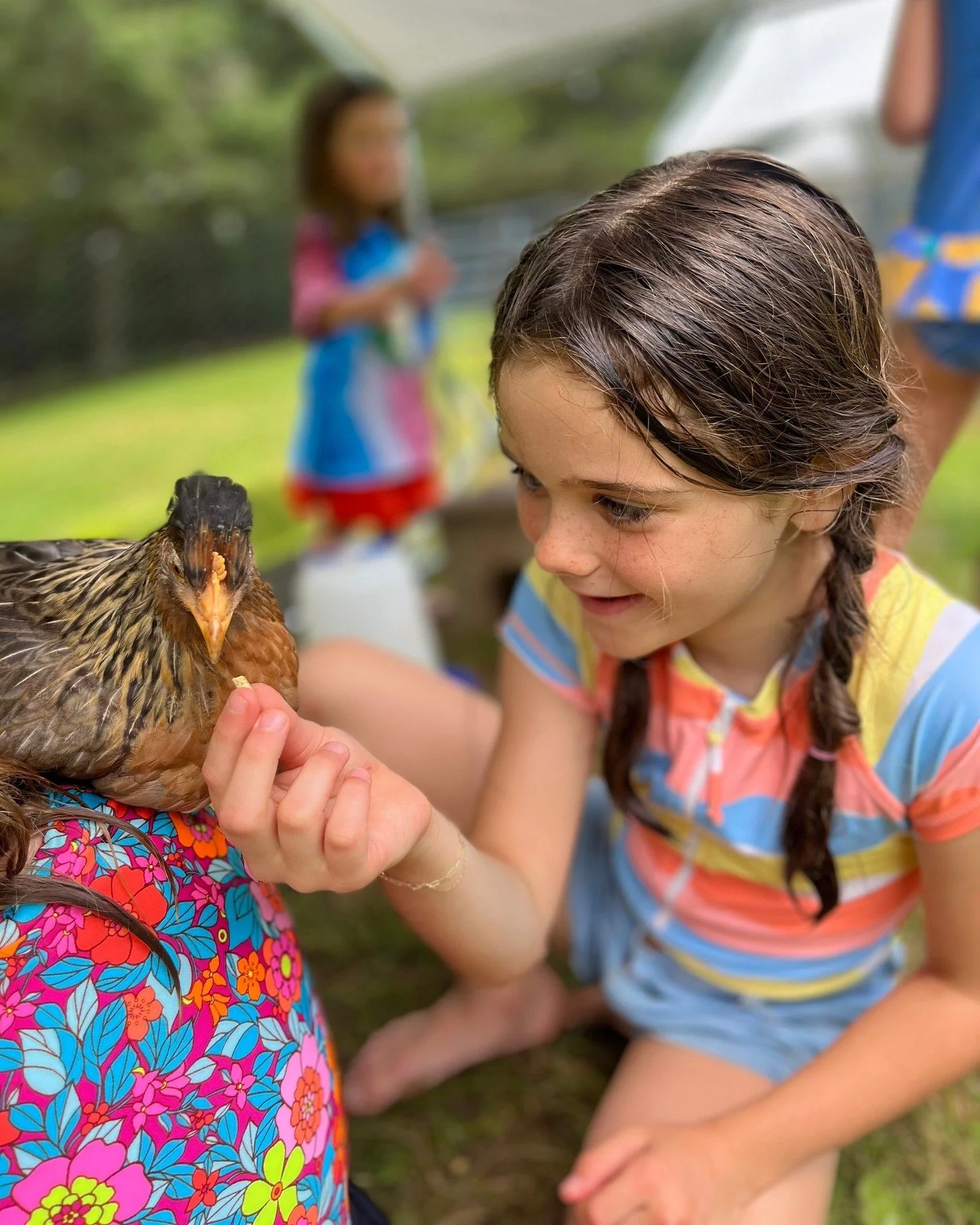 🐐✨ Meet part of our fluffiest camp crew! Cappy the goat and our friendly chickens are always up for attention (and a few snacks if you&rsquo;ve got &rsquo;em 🥕🍎).
The goats, chickens, and all of the other animals have been wandering and wondering 
